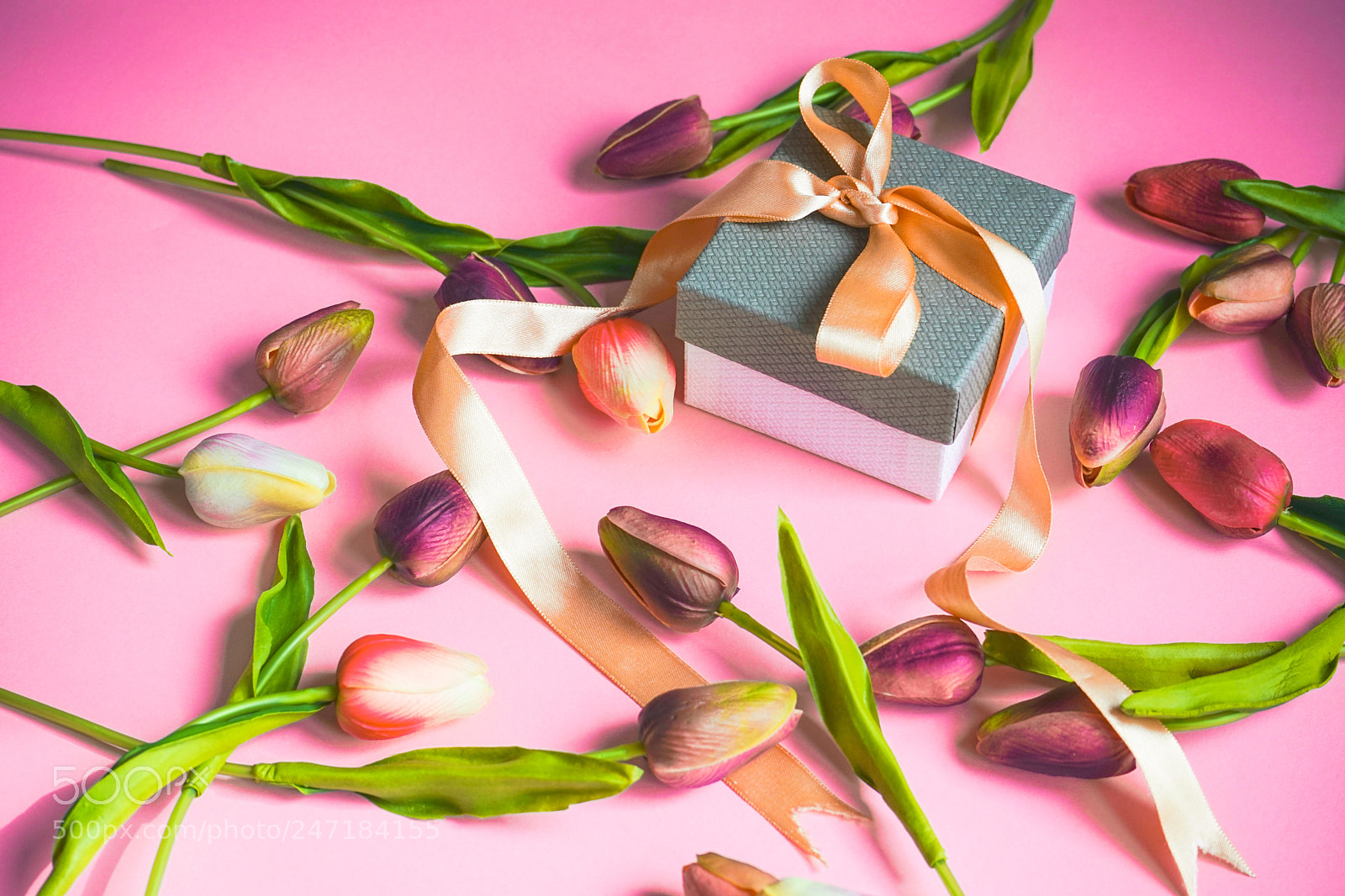 Sony a7 sample photo. Spring floral concept photography