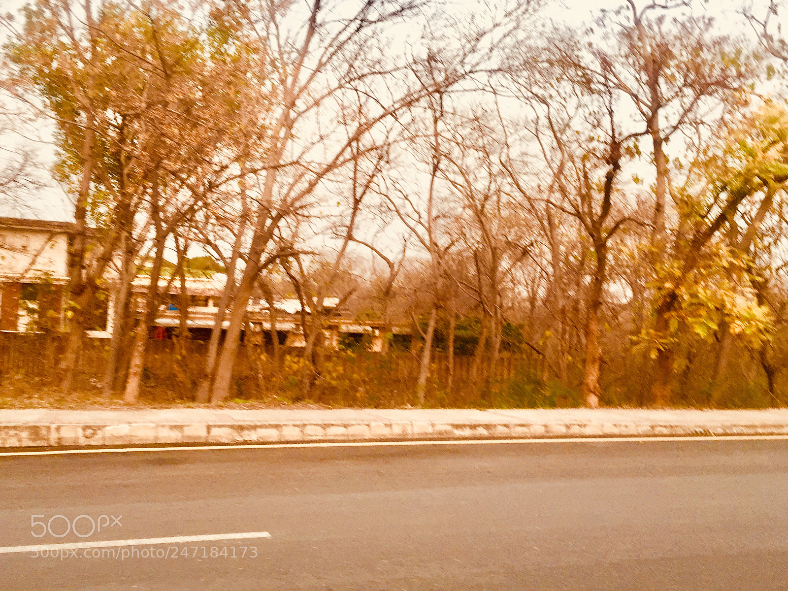 Apple iPhone 6 sample photo. Untitled photography