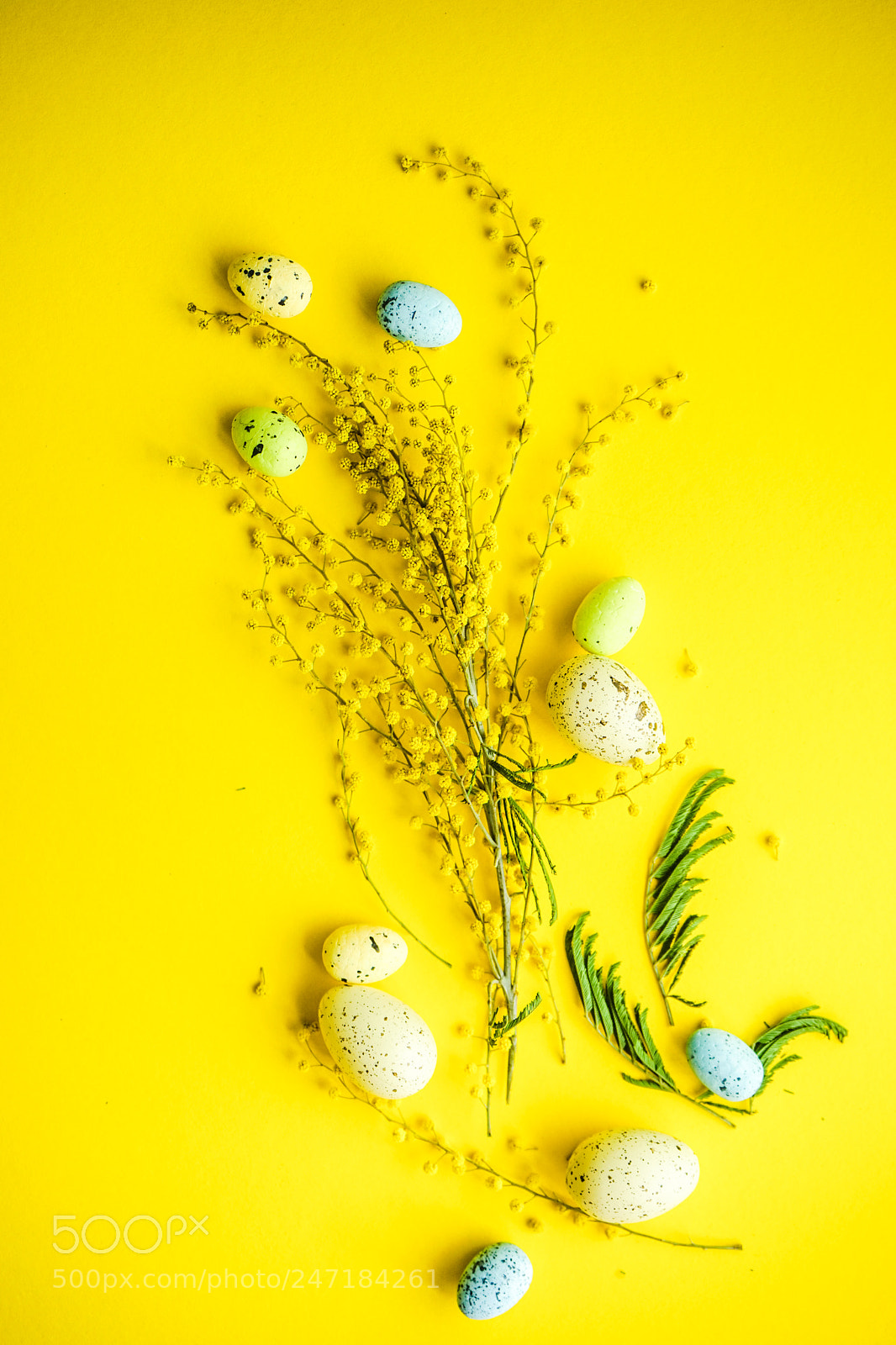 Sony a7 sample photo. Spring floral concept photography