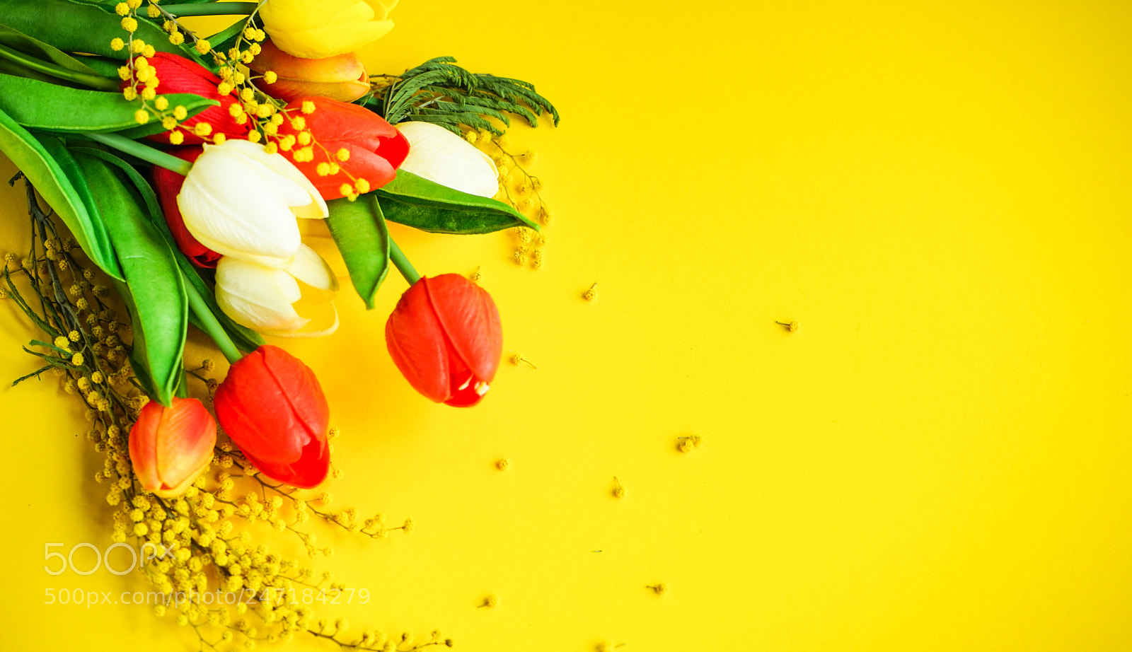 Sony a7 sample photo. Spring floral concept photography