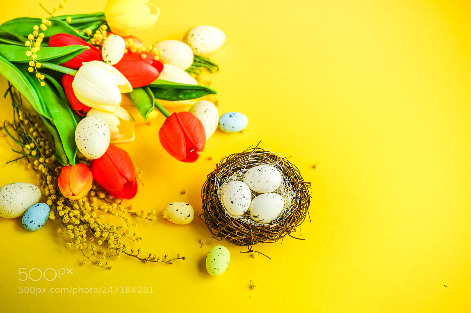 Sony a7 sample photo. Spring floral concept photography