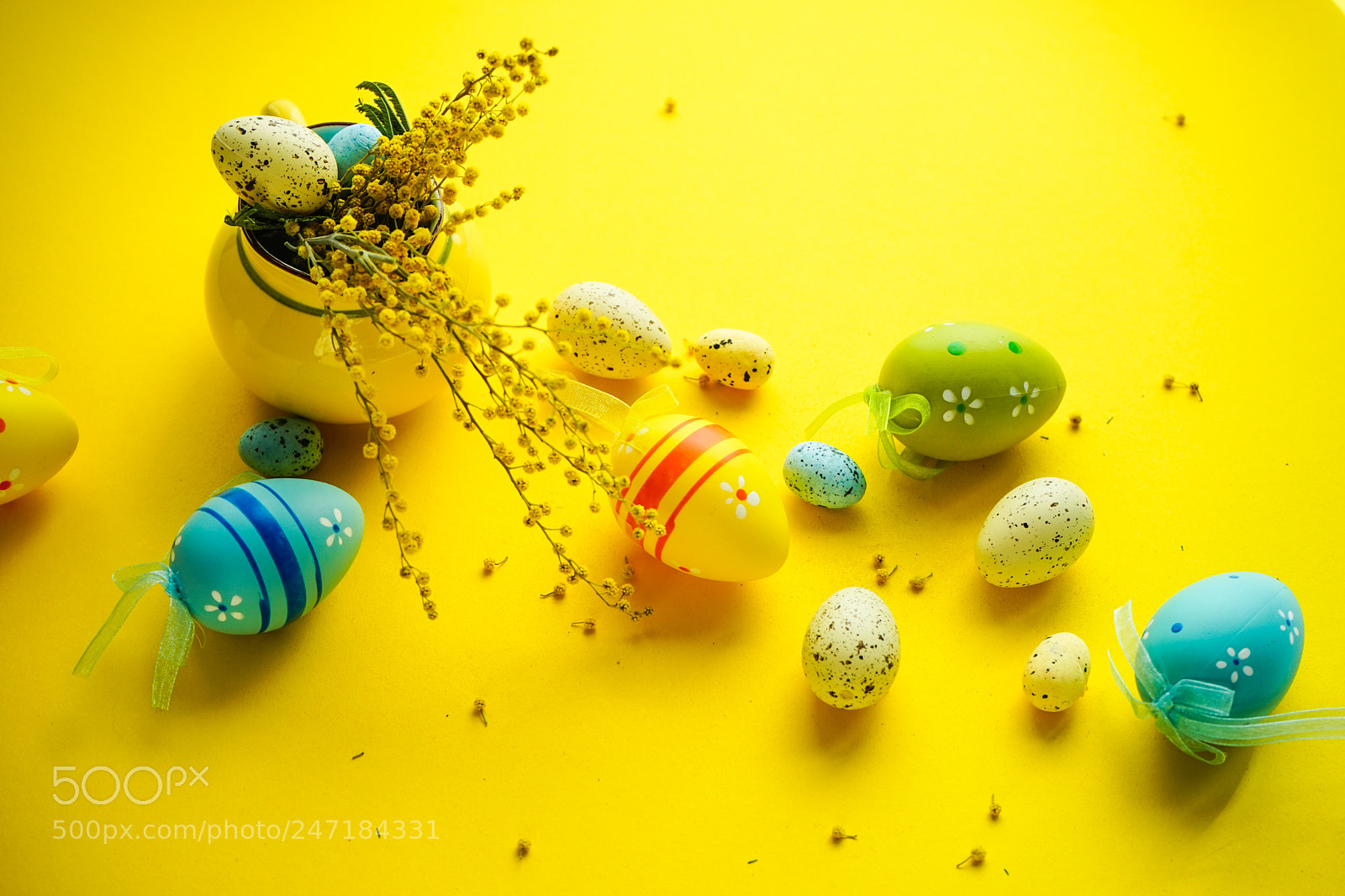 Sony a7 sample photo. Spring floral concept photography