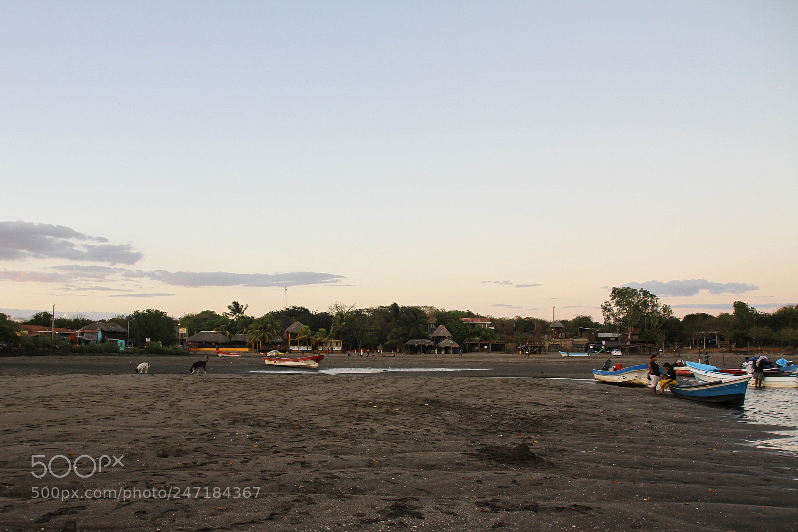 Canon EOS 7D sample photo. Chillin' before night photography