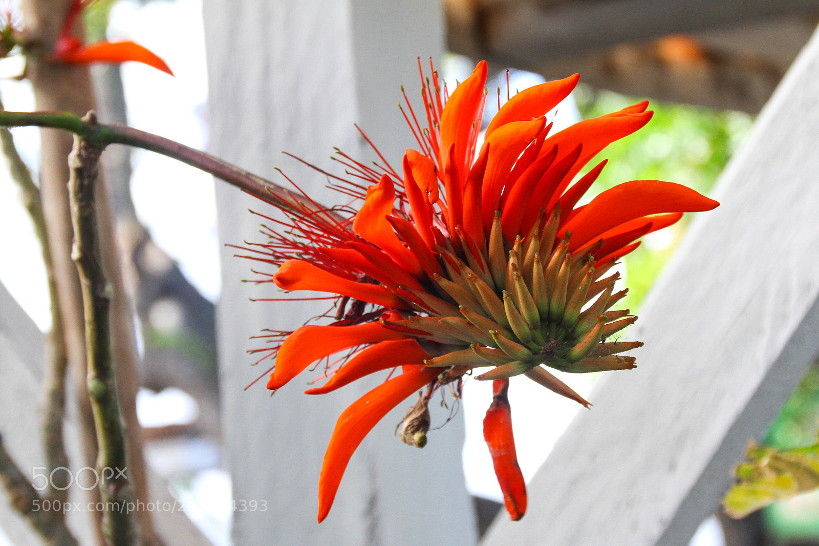 Canon EOS 7D sample photo. Untitled photography