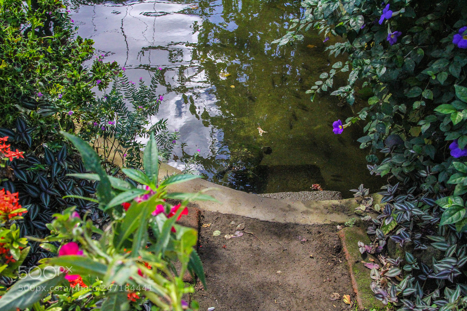 Canon EOS 7D sample photo. Untitled photography