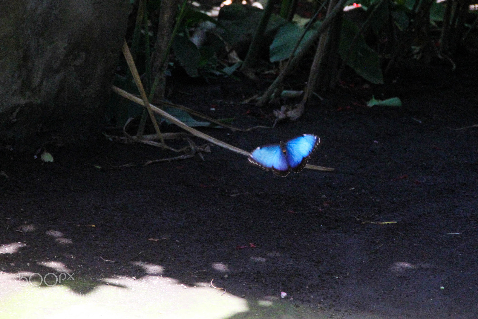 Canon EOS 7D sample photo. Untitled photography