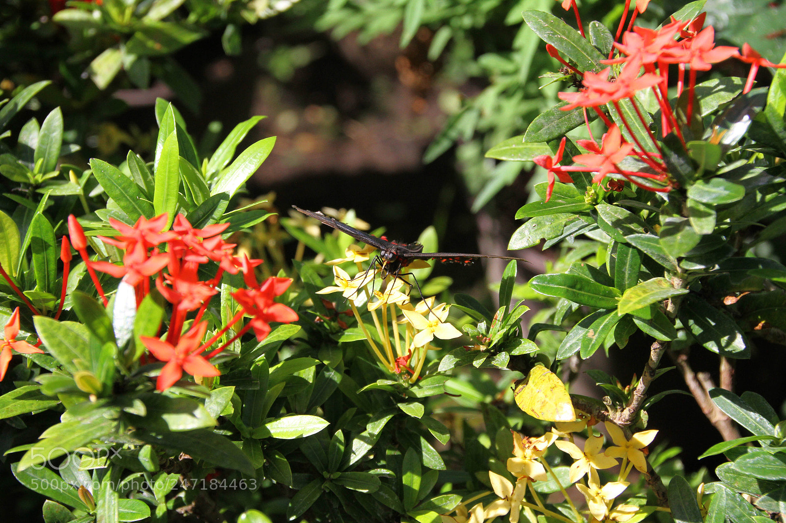 Canon EOS 7D sample photo. Do you see it? photography