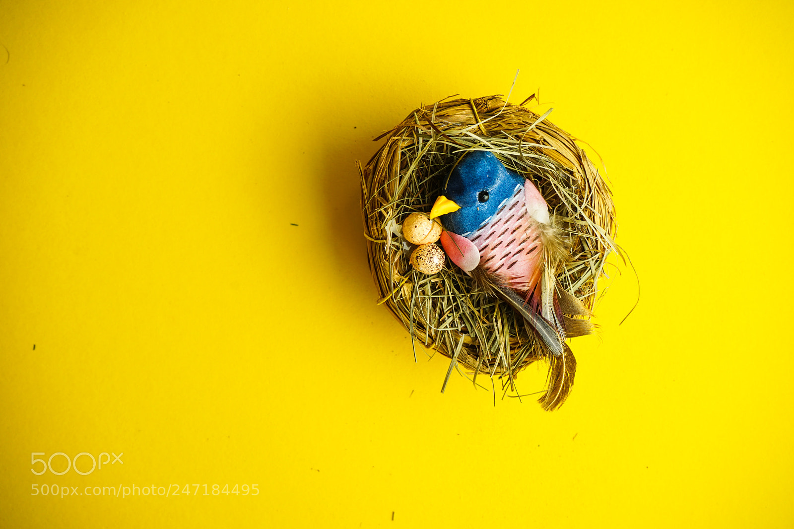 Sony a7 sample photo. Easter holiday card photography