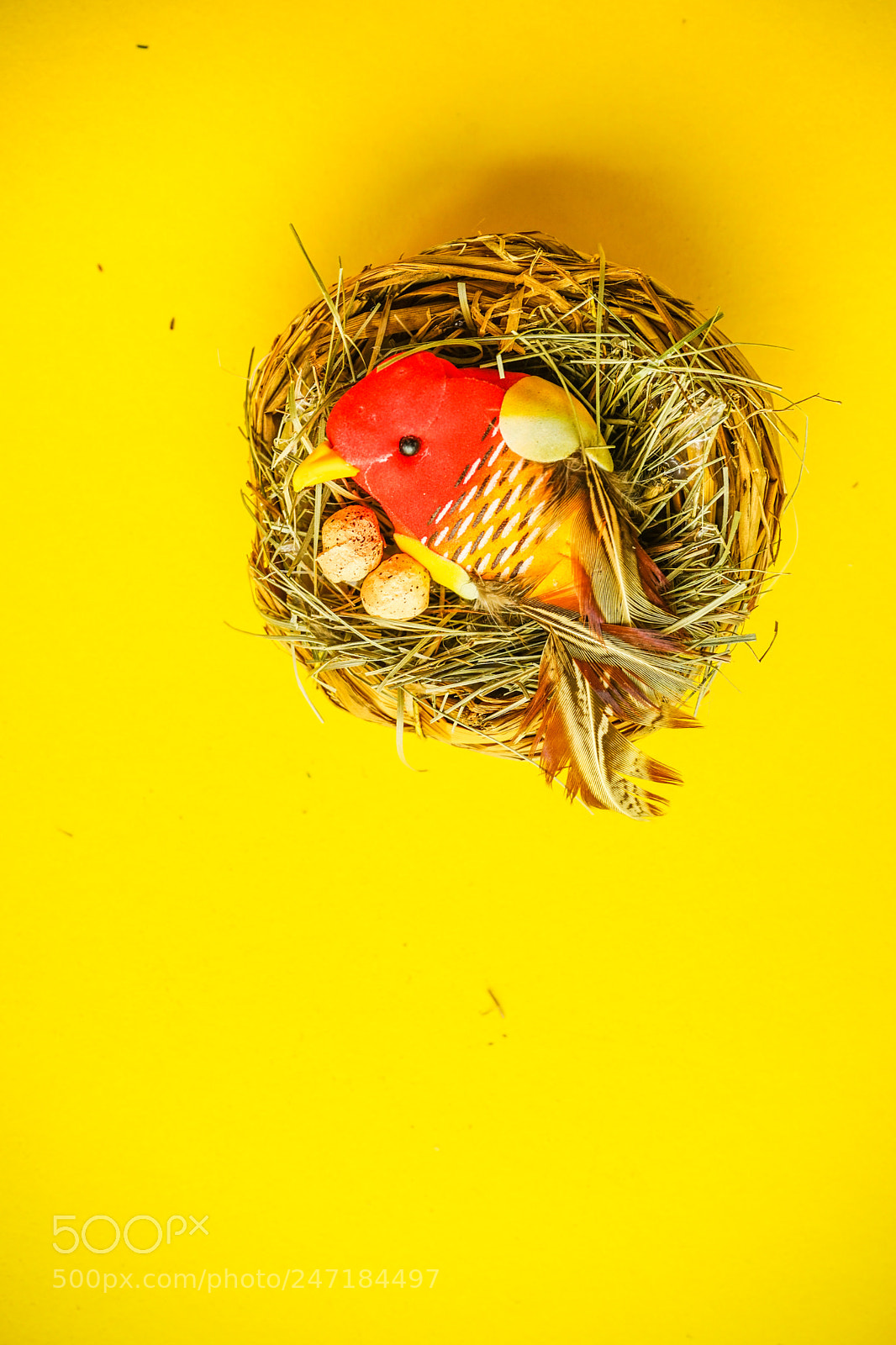 Sony a7 sample photo. Easter holiday card photography