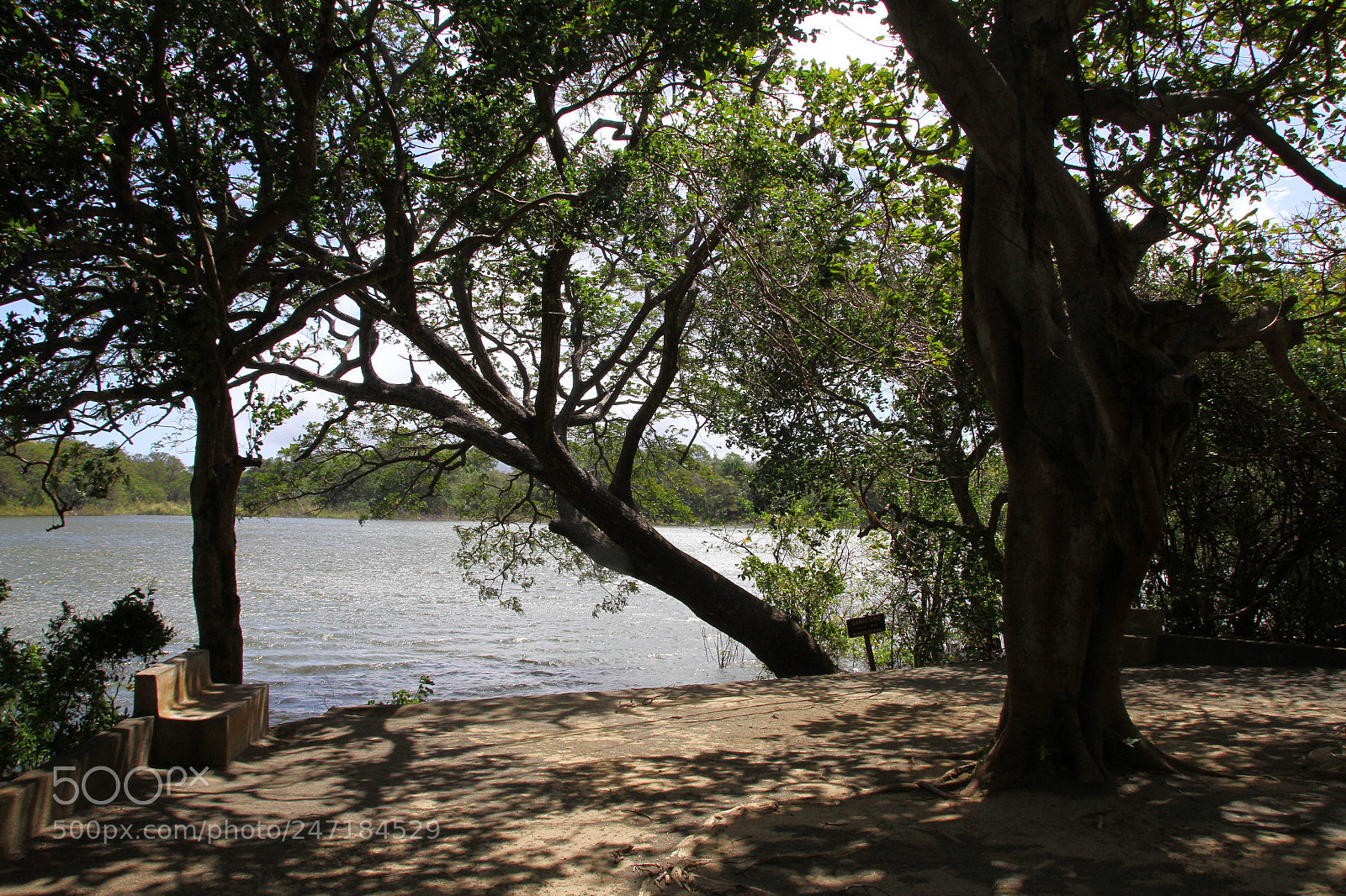 Canon EOS 7D sample photo. Ecological reserve photography