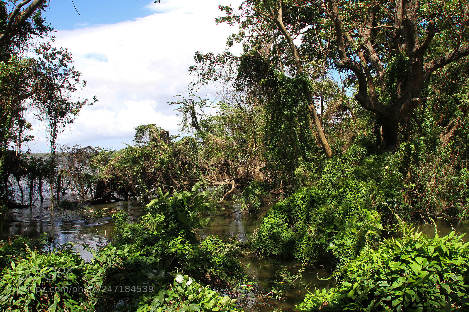 Canon EOS 7D sample photo. Lagoon of ecological reserve photography