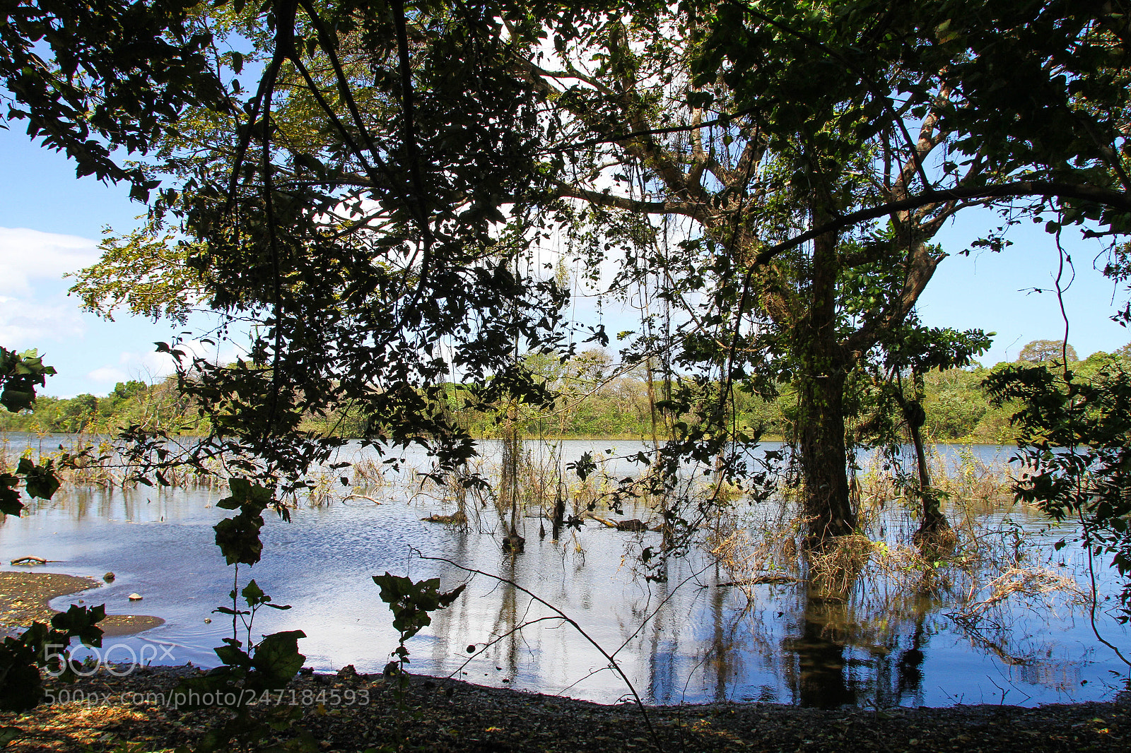 Canon EOS 7D sample photo. Ecological reserve of chaco photography