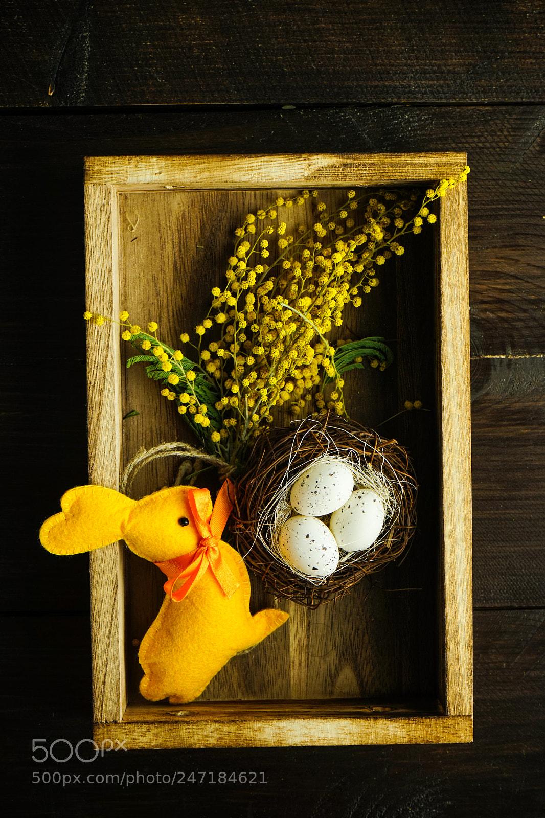 Sony a7 sample photo. Spring floral concept photography