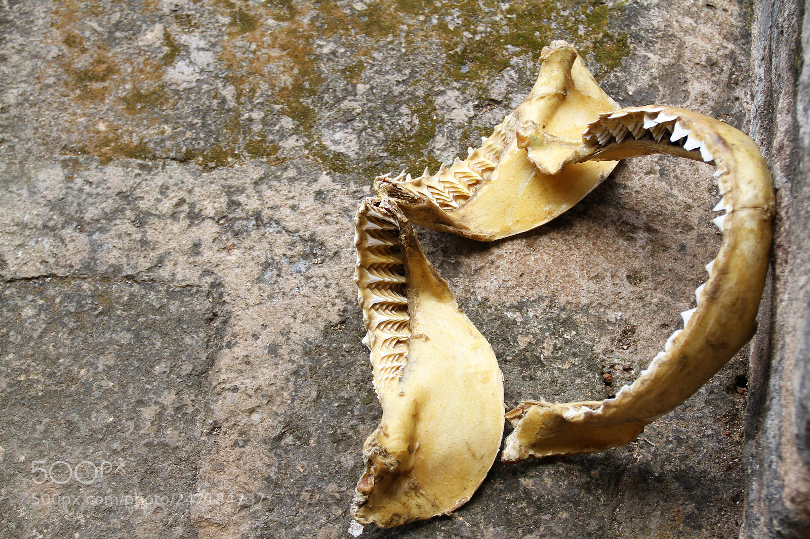 Canon EOS 7D sample photo. Museum photography