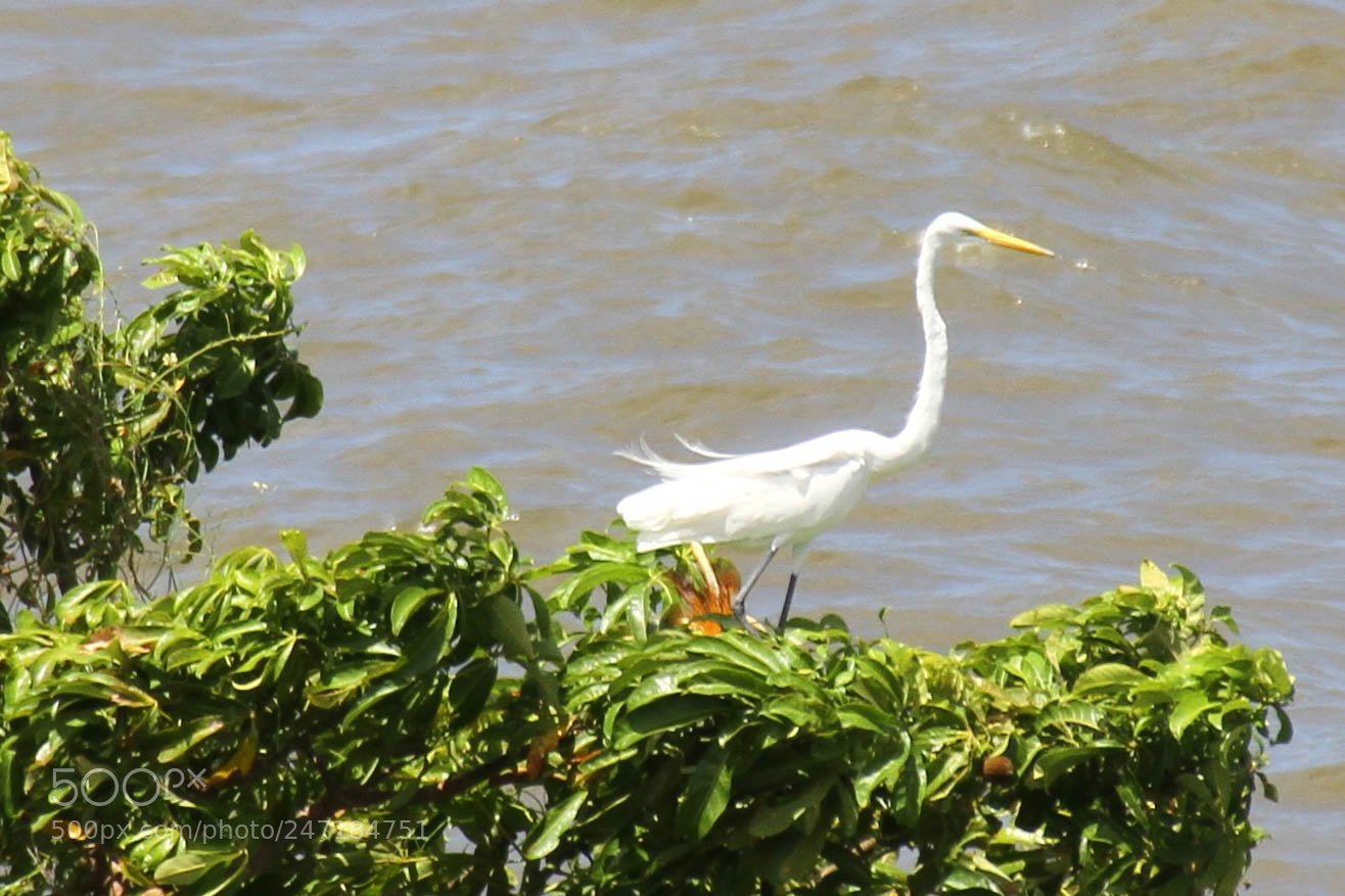 Canon EOS 7D sample photo. View from the museum photography