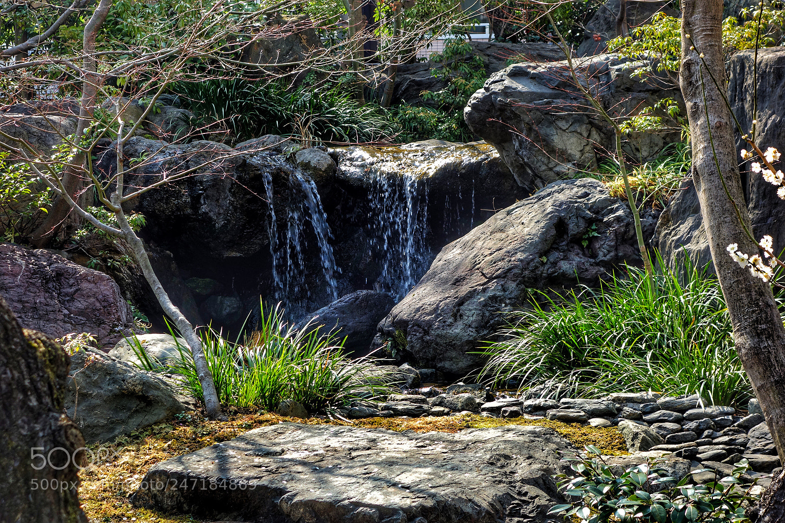 Sony Cyber-shot DSC-RX100 sample photo. 湯島天満宮 photography