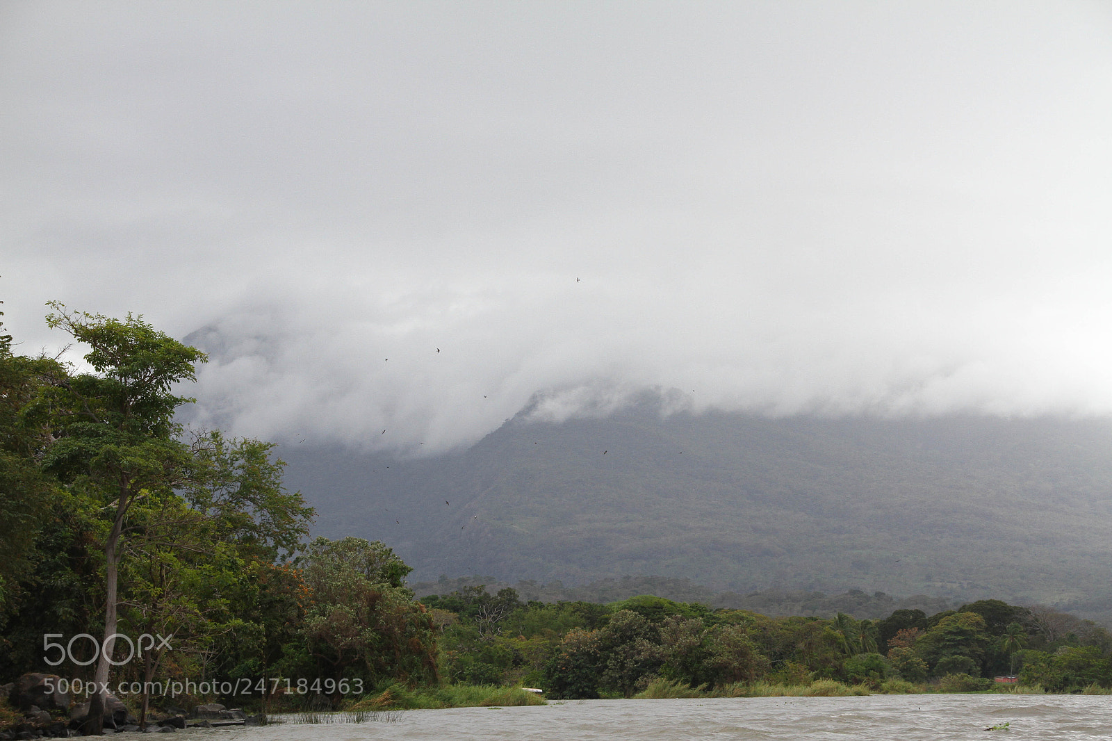 Canon EOS 7D sample photo. Mombacho volcano photography