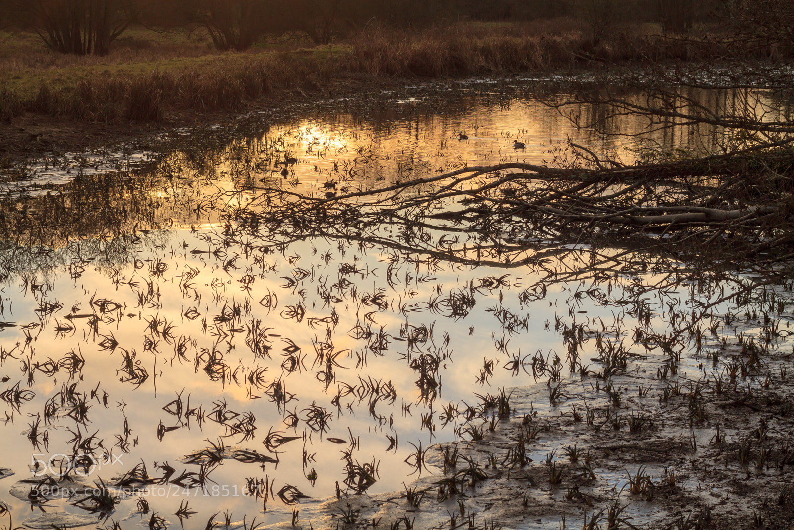 Canon EOS 7D sample photo. Perfect calm and peace photography