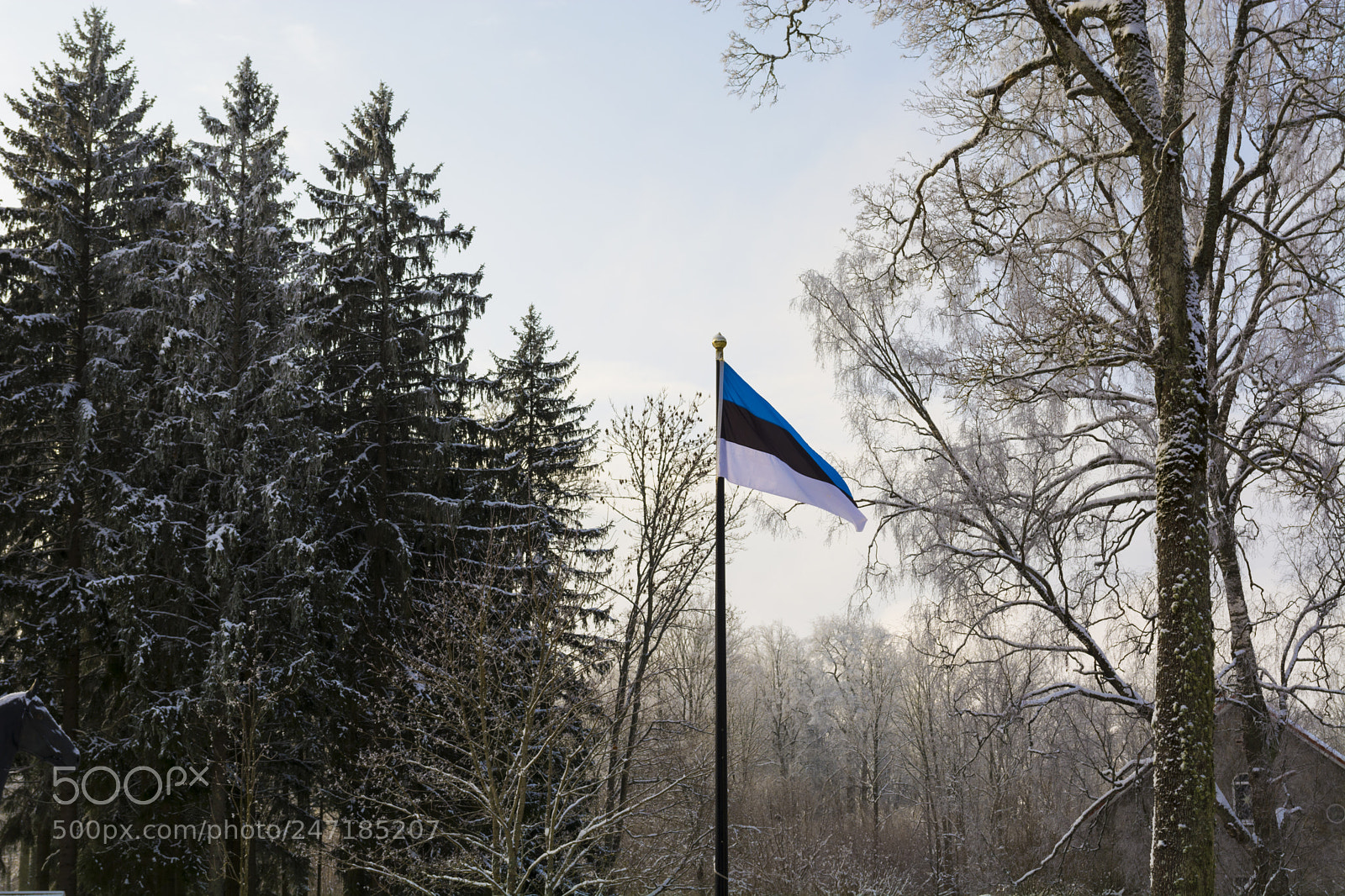 Nikon D5200 sample photo. Ev100-estonia celebrates 100 years photography