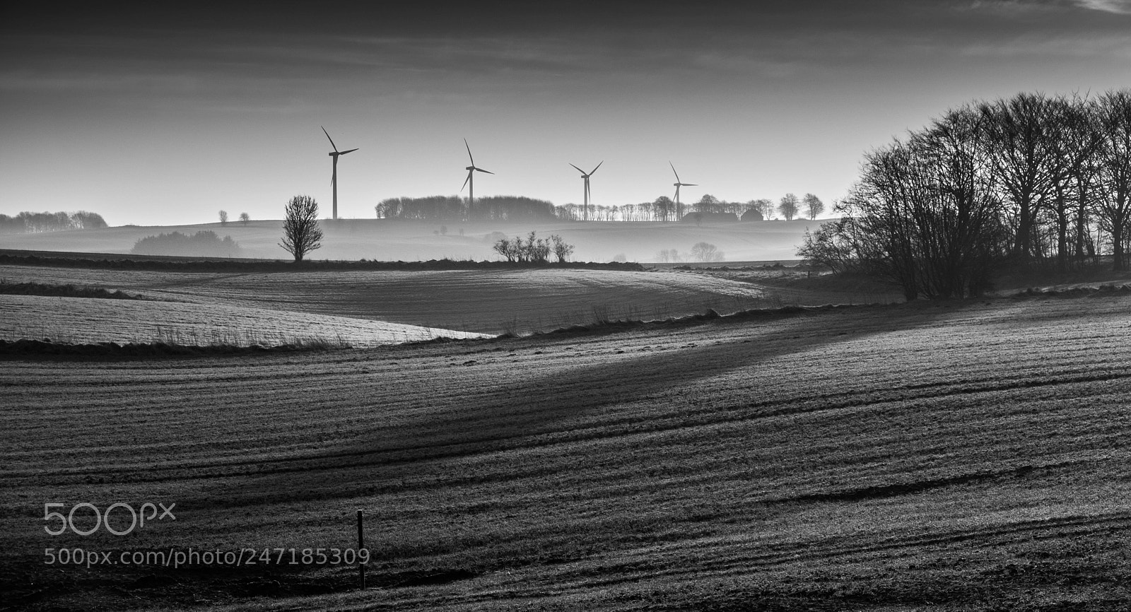 Fujifilm X-T20 sample photo. Rural danish landscape photography