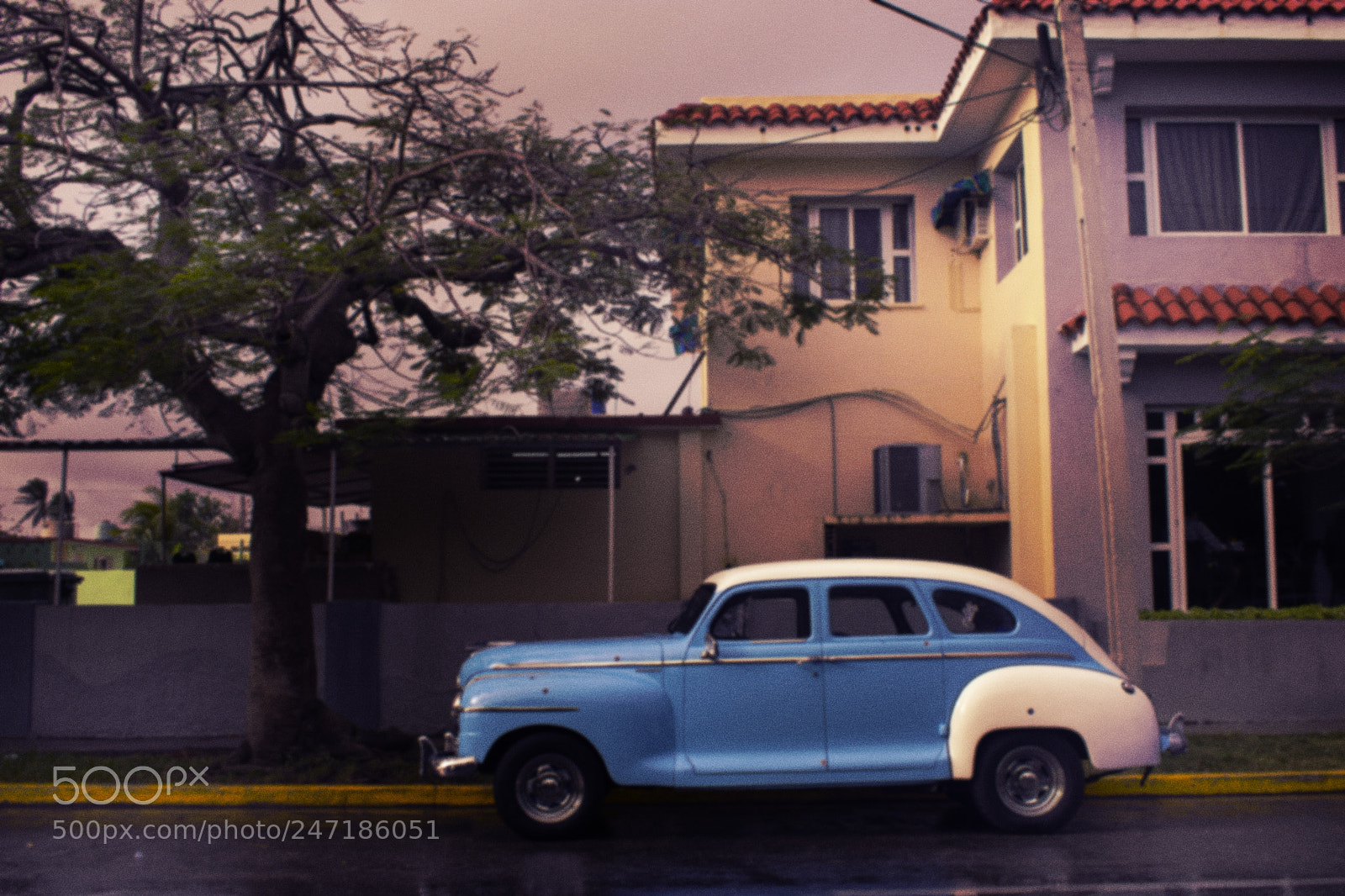 Nikon D3400 sample photo. Vint photography