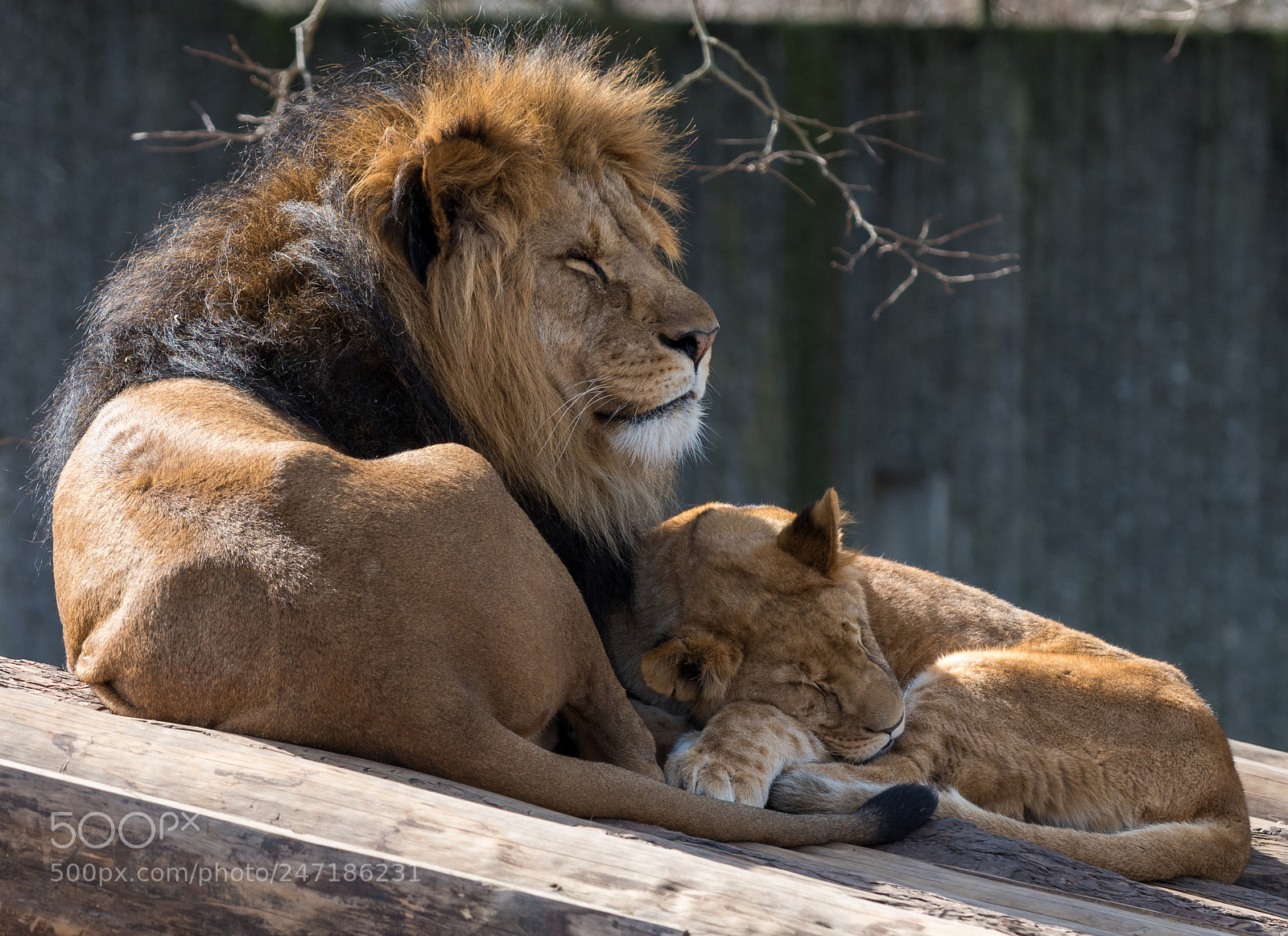 Nikon D810 sample photo. Safe spot photography