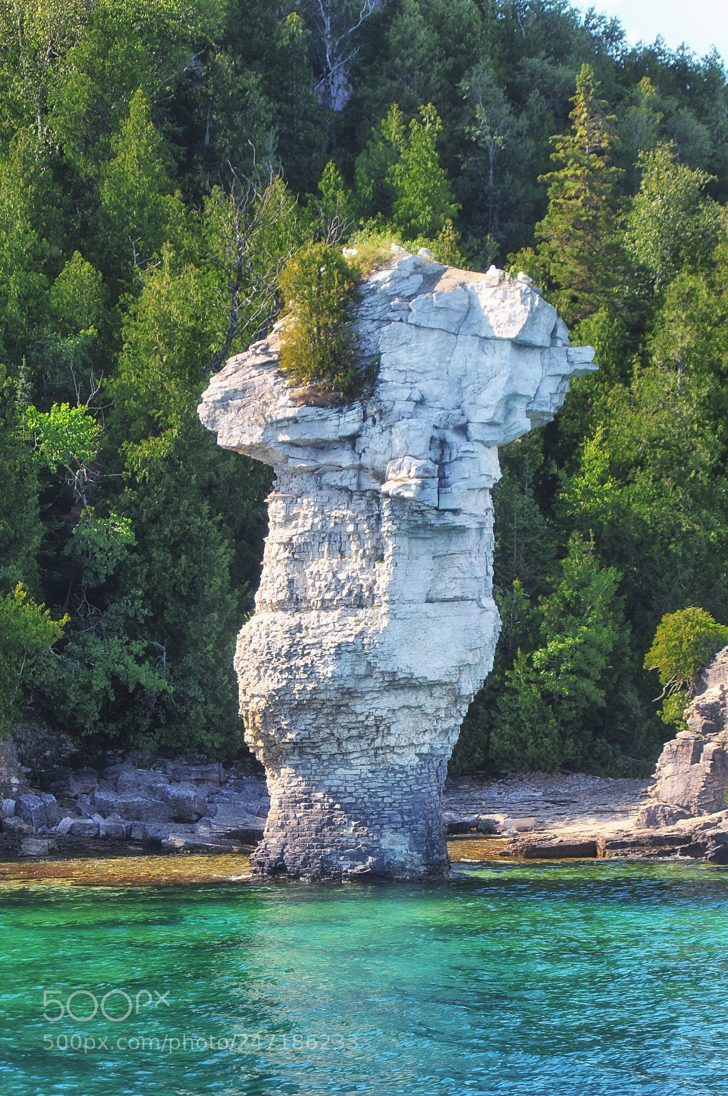 Nikon D300 sample photo. Summer 2017, at bruce peninsula photography