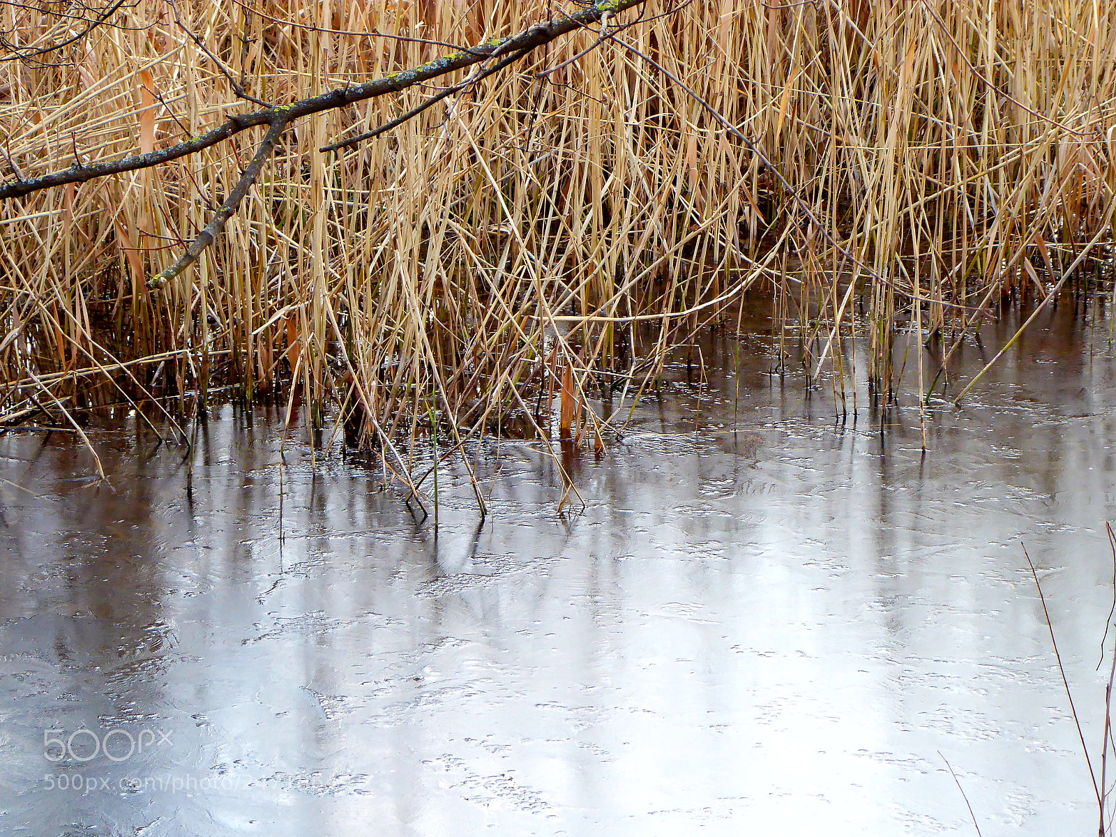 Panasonic DMC-TZ71 sample photo. Ice photography