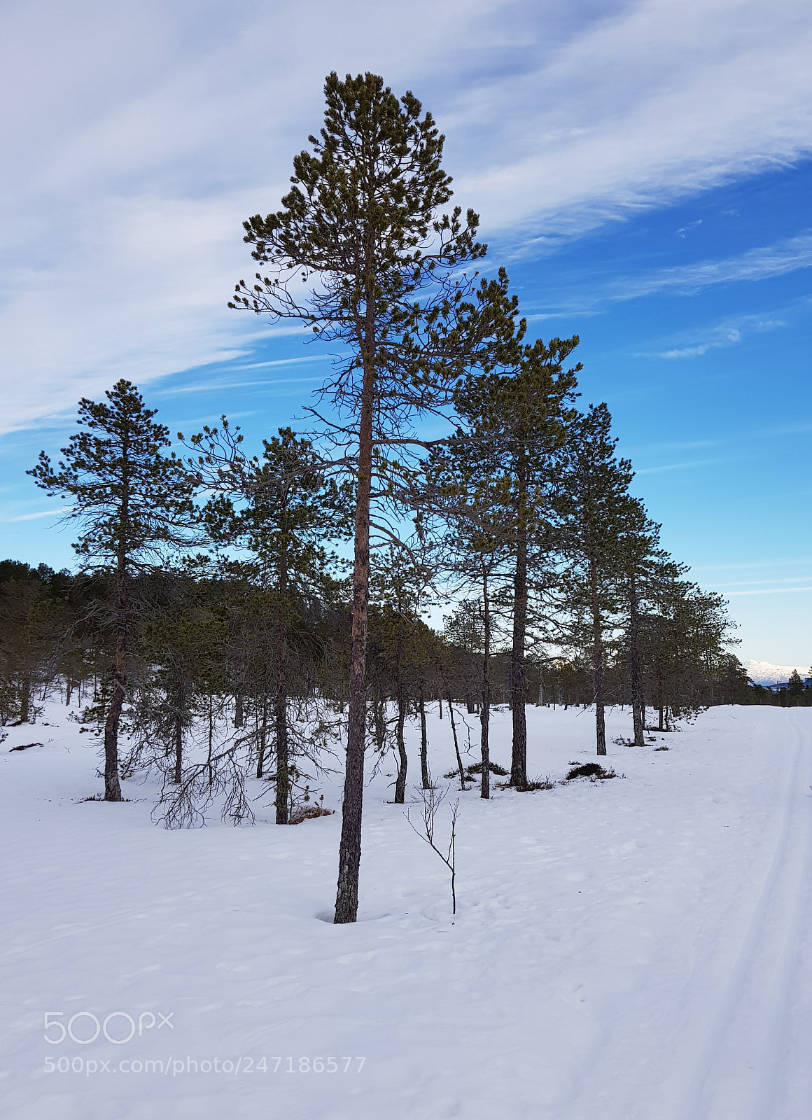Samsung Galaxy S8 sample photo. Ski track photography