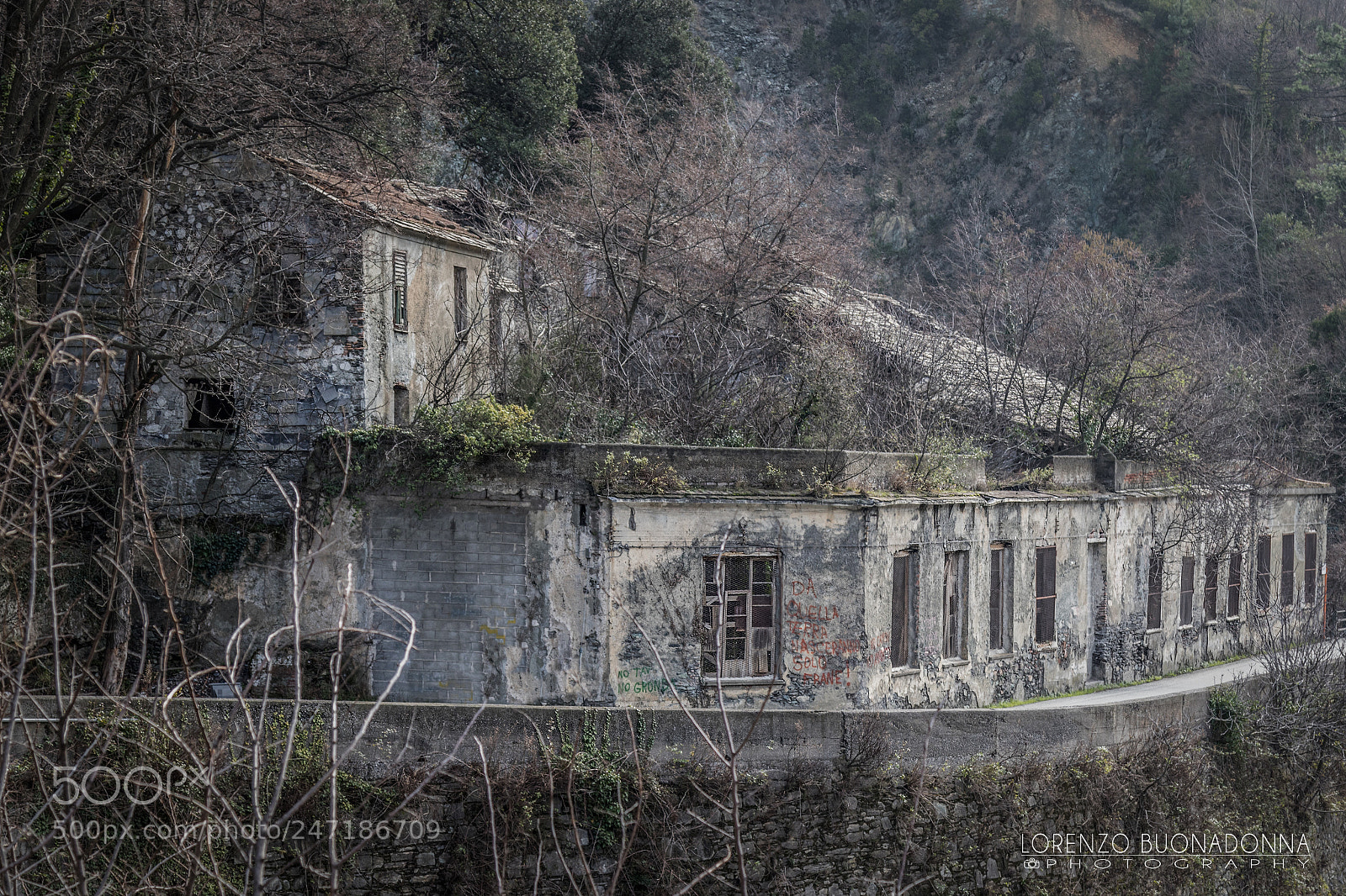 Canon EOS 7D Mark II sample photo. Timeless (carpenara, ge italy) photography