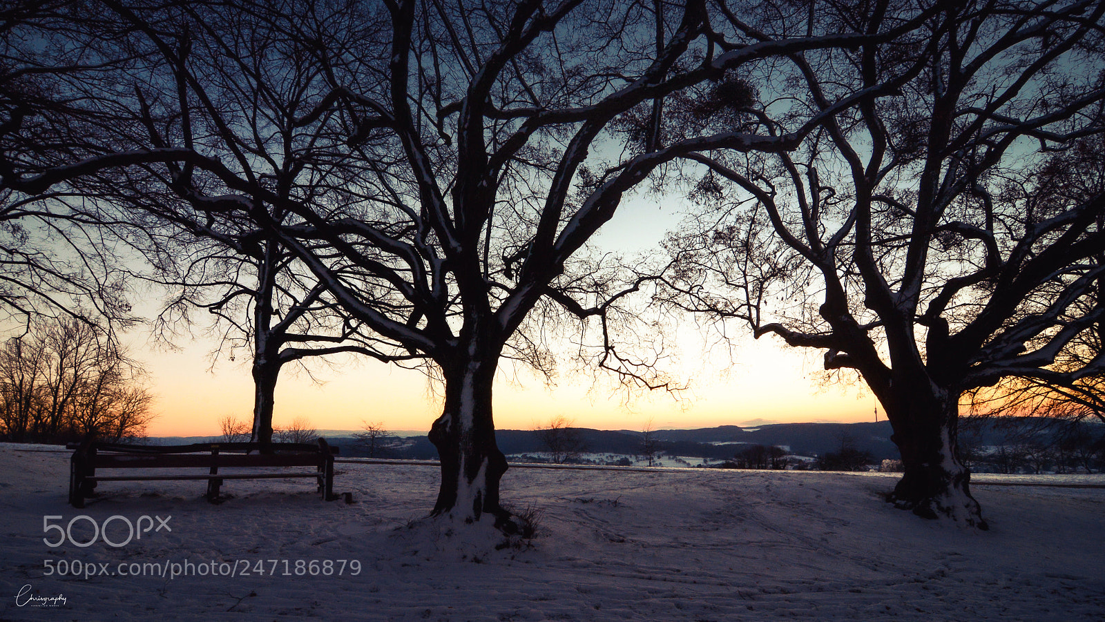 Nikon D7100 sample photo. Lindenplatz winter photography