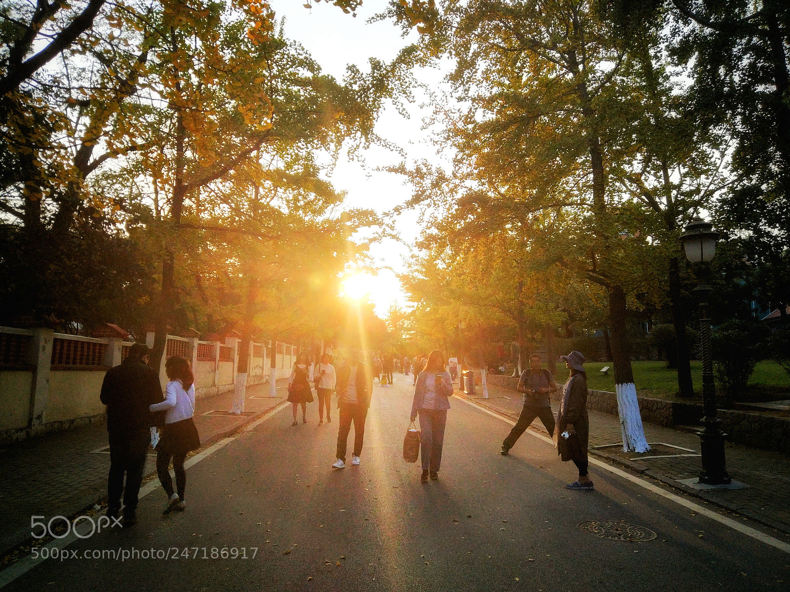 Xiaomi MI 5s sample photo. The setting sun photography