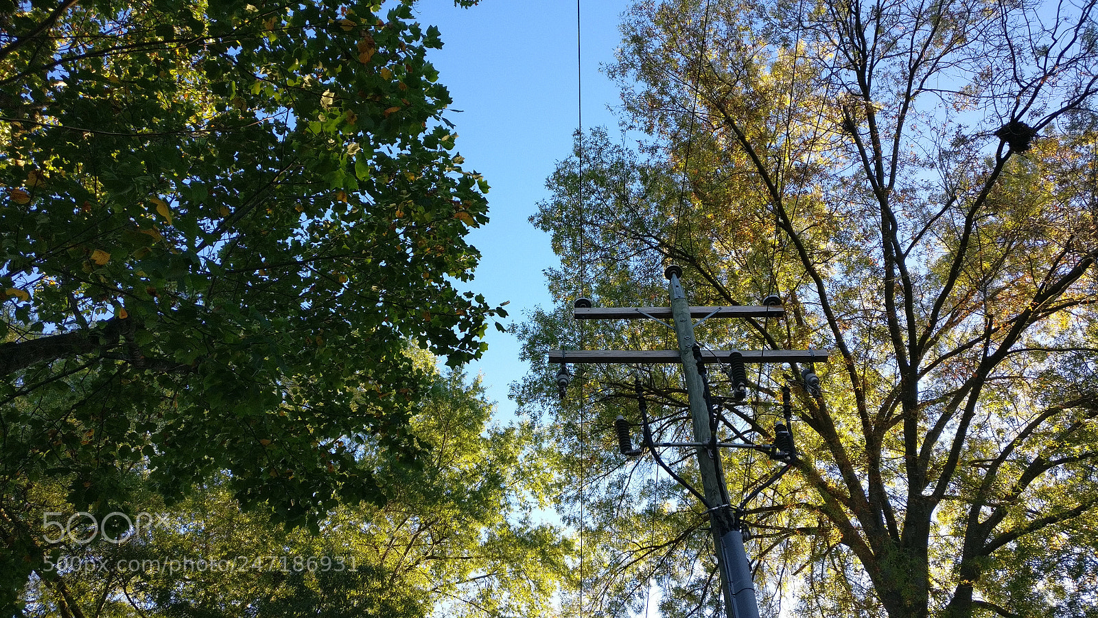 OnePlus A3000 sample photo. Edge of autumn photography