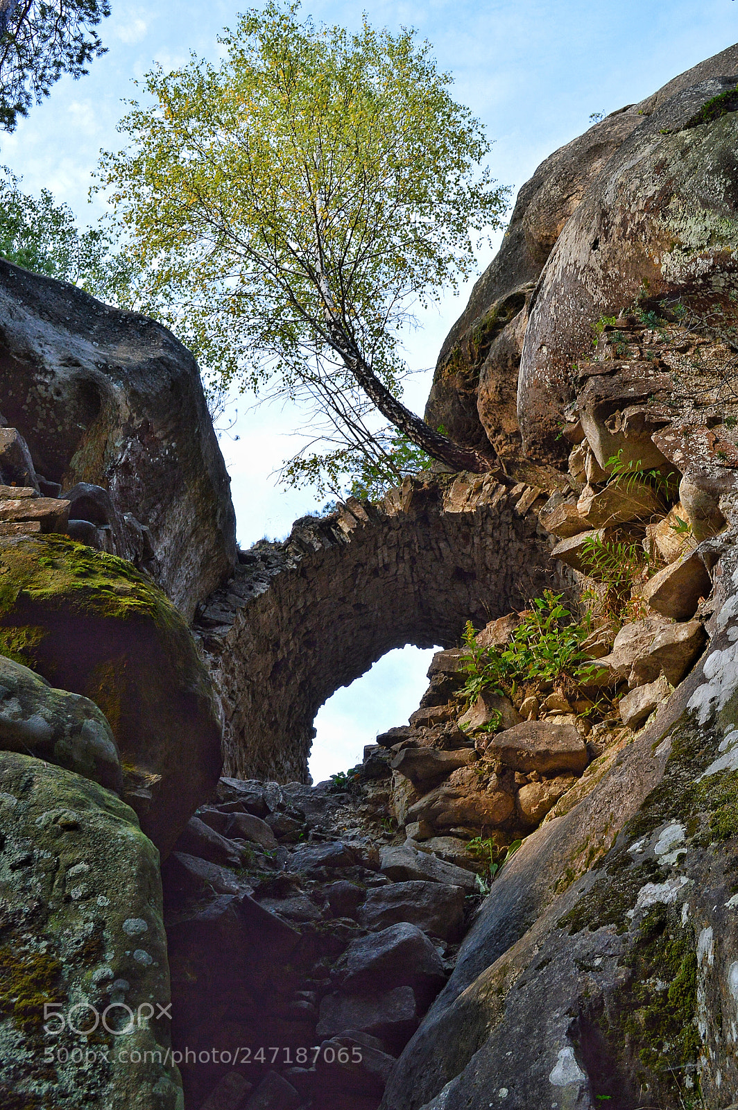 Nikon D3200 sample photo. Untitled photography