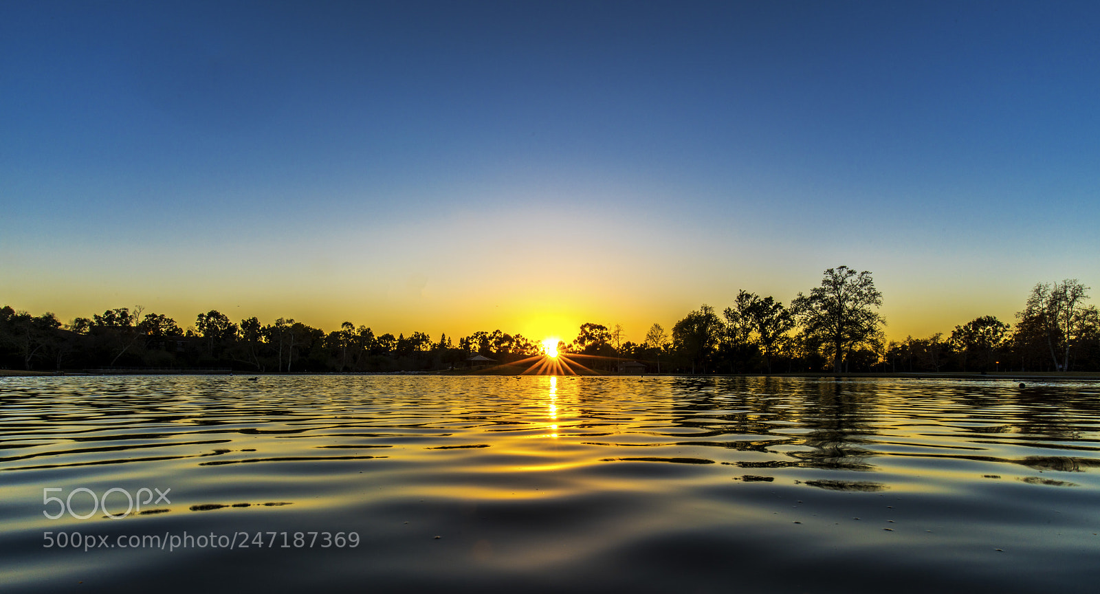 Sony a7R III sample photo. Tranquility at the lake 2 photography