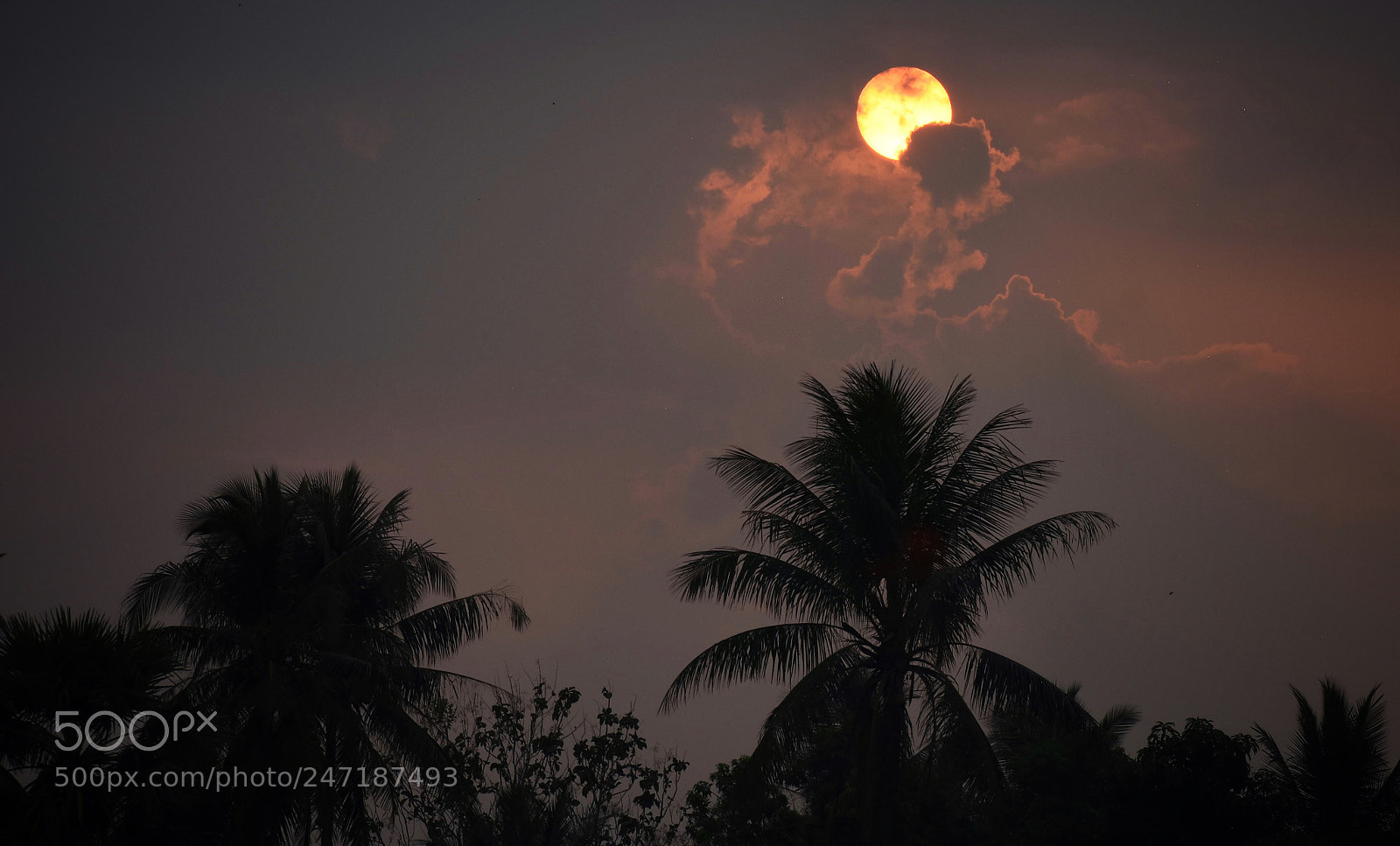 Nikon D7200 sample photo. Untitled photography