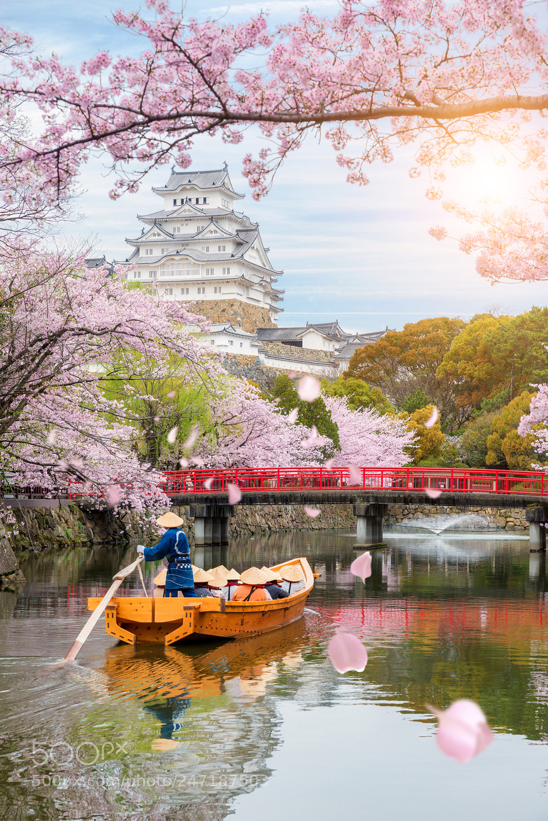 Nikon D800 sample photo. Himeji castle with beautiful photography