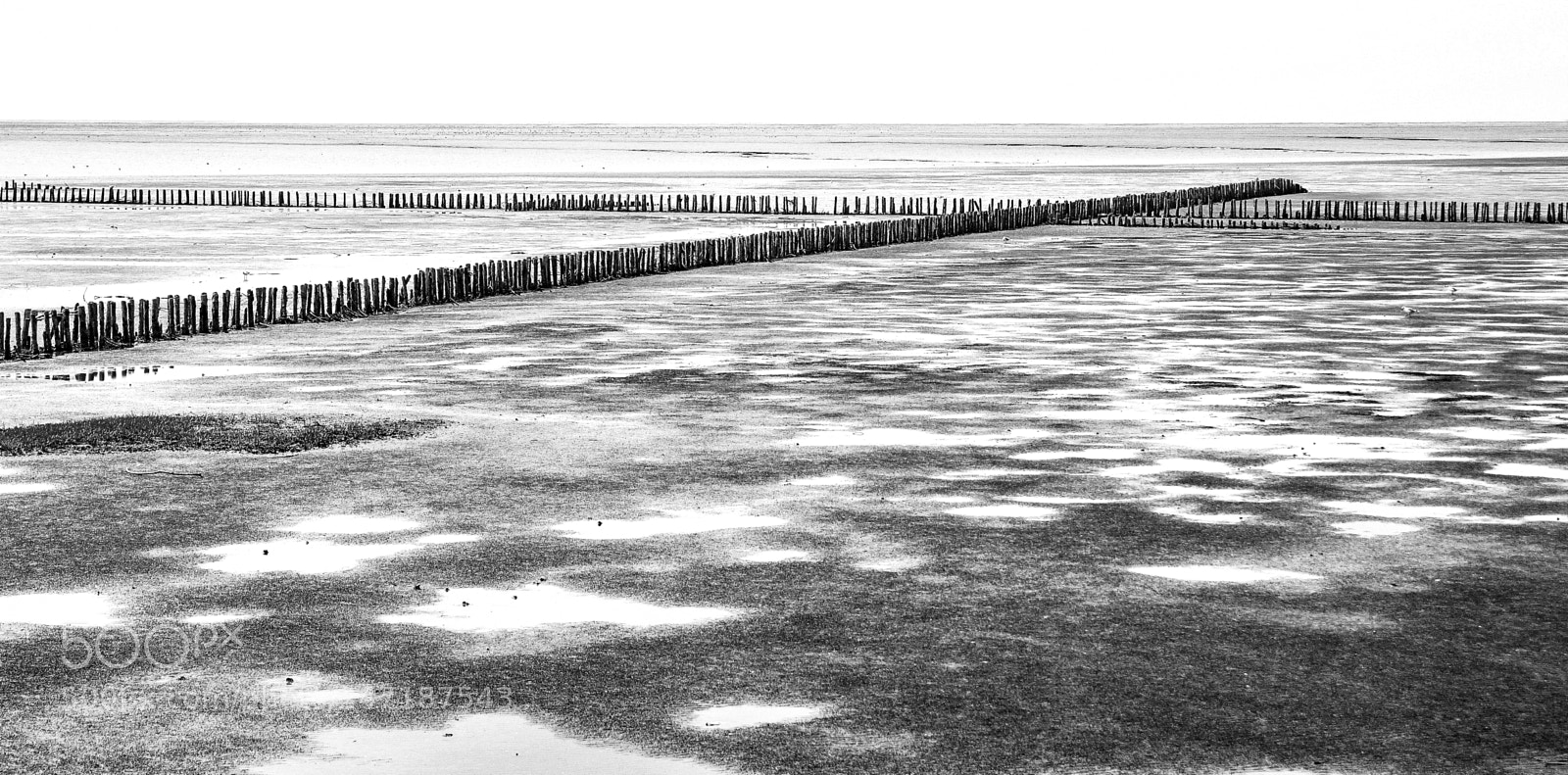 Canon EOS 500D (EOS Rebel T1i / EOS Kiss X3) sample photo. Wadden sea (5) photography