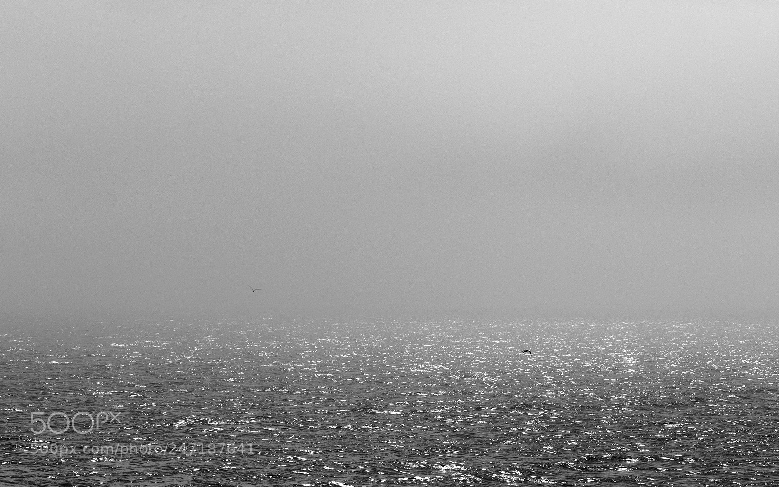 Sony a7R II sample photo. Solovki 20 (sea). photography