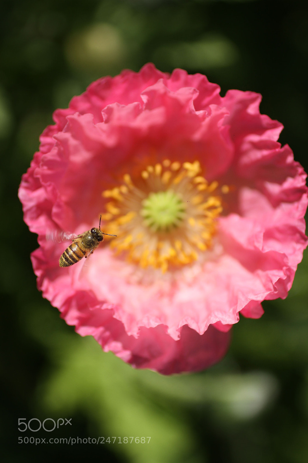 Canon EOS 7D sample photo. Untitled photography