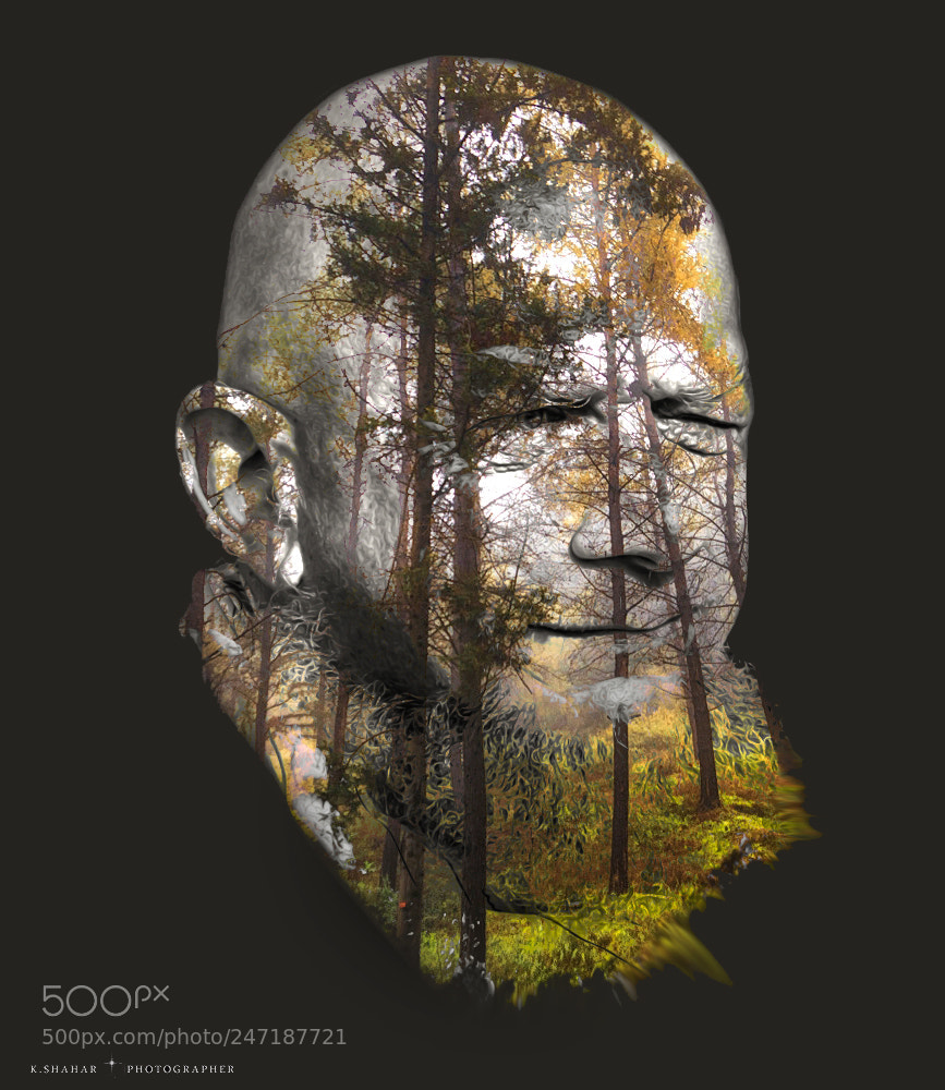 Canon EOS 7D Mark II sample photo. The forest people photography
