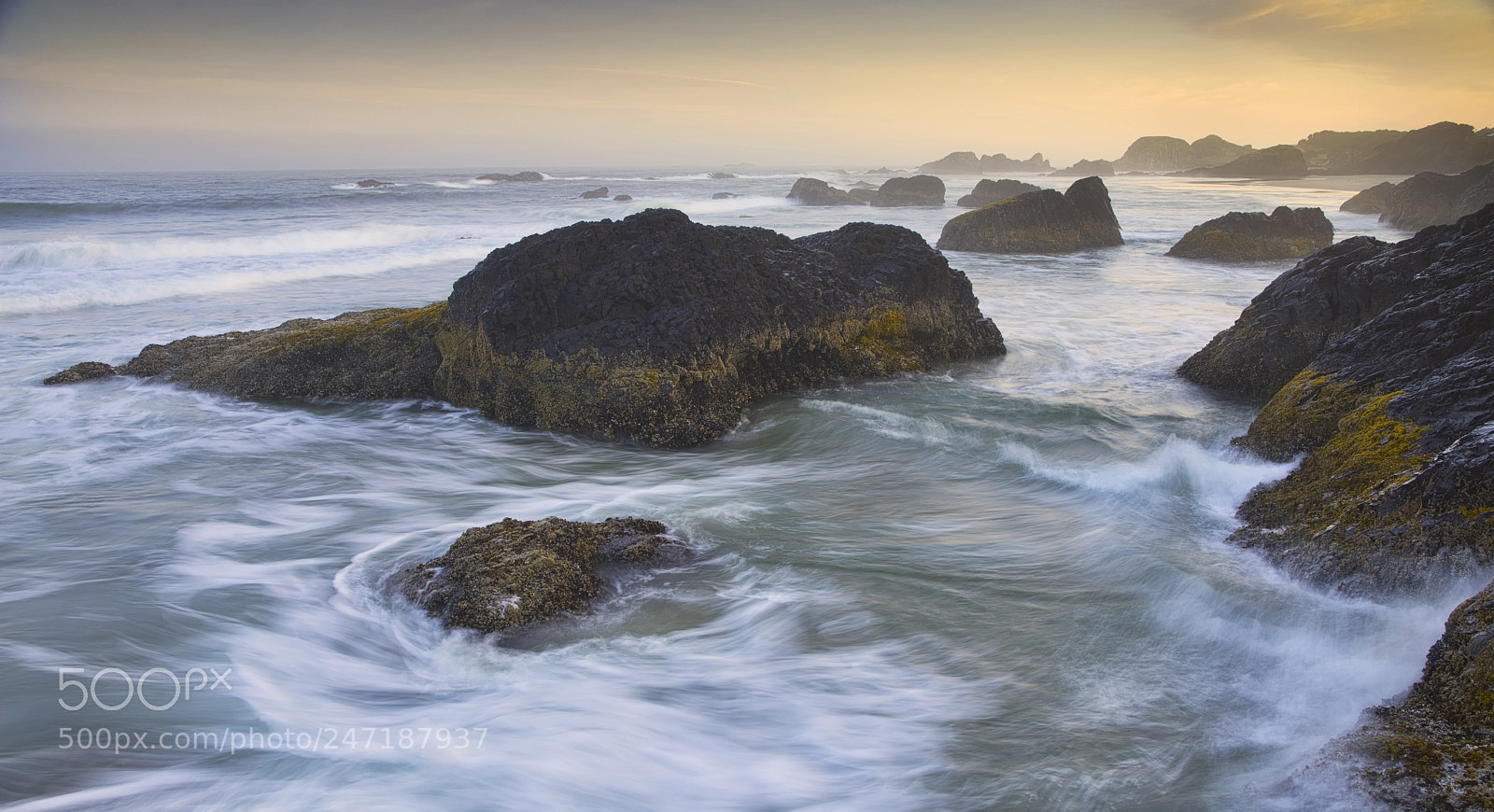 Sony a7R sample photo. Seal rocks photography