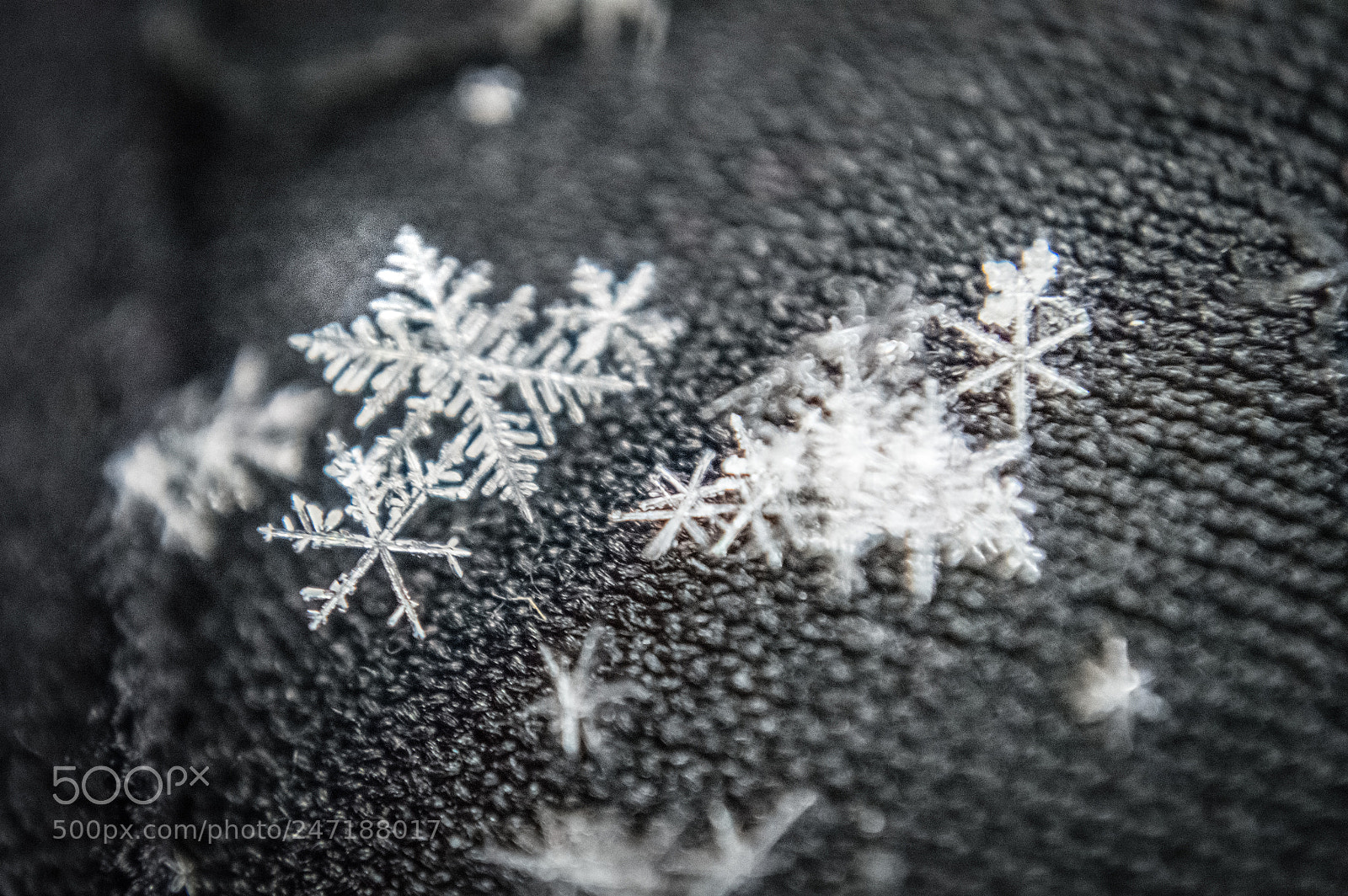 Nikon D3200 sample photo. Snowflake capture photography