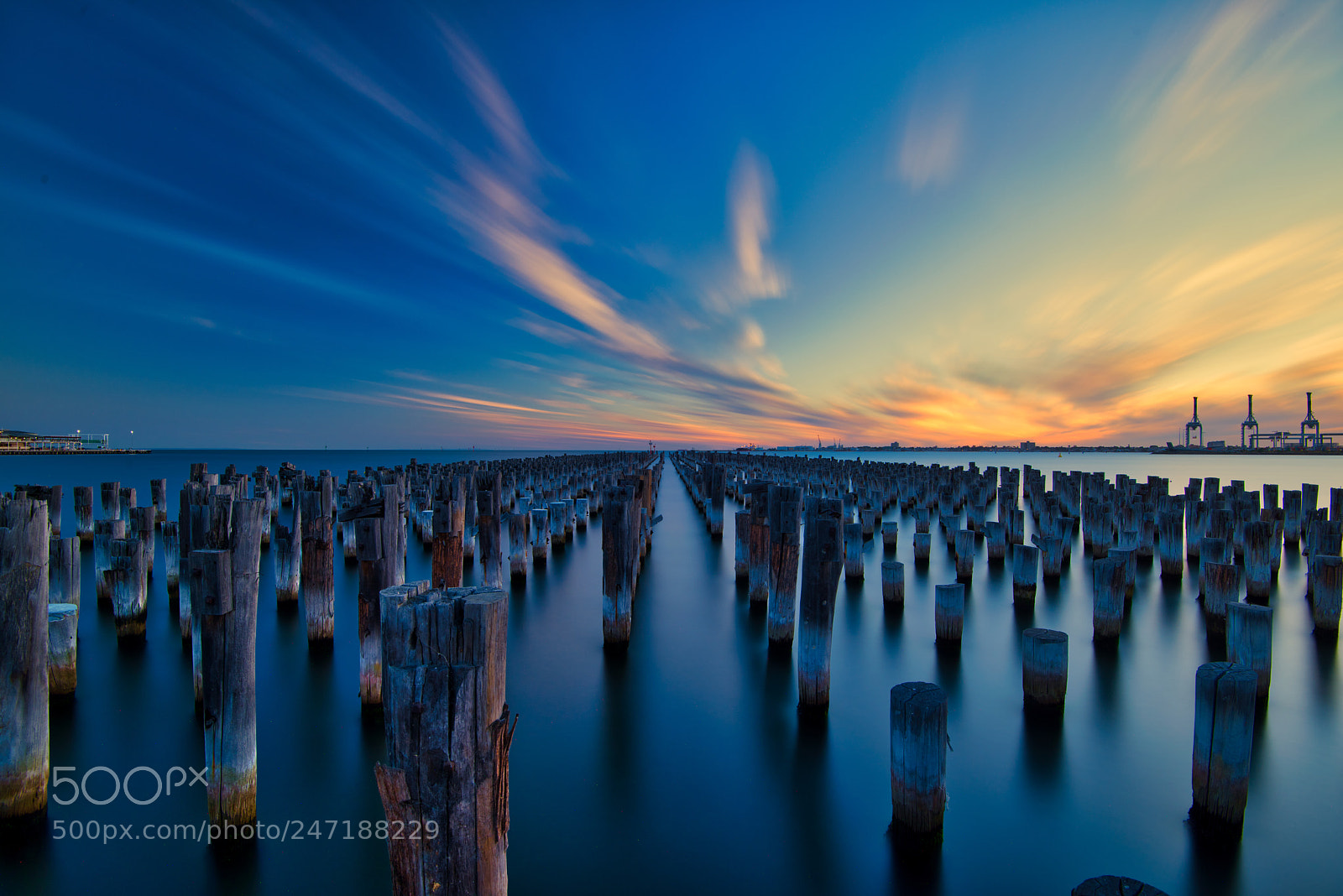 Nikon D810 sample photo. Princes pier photography