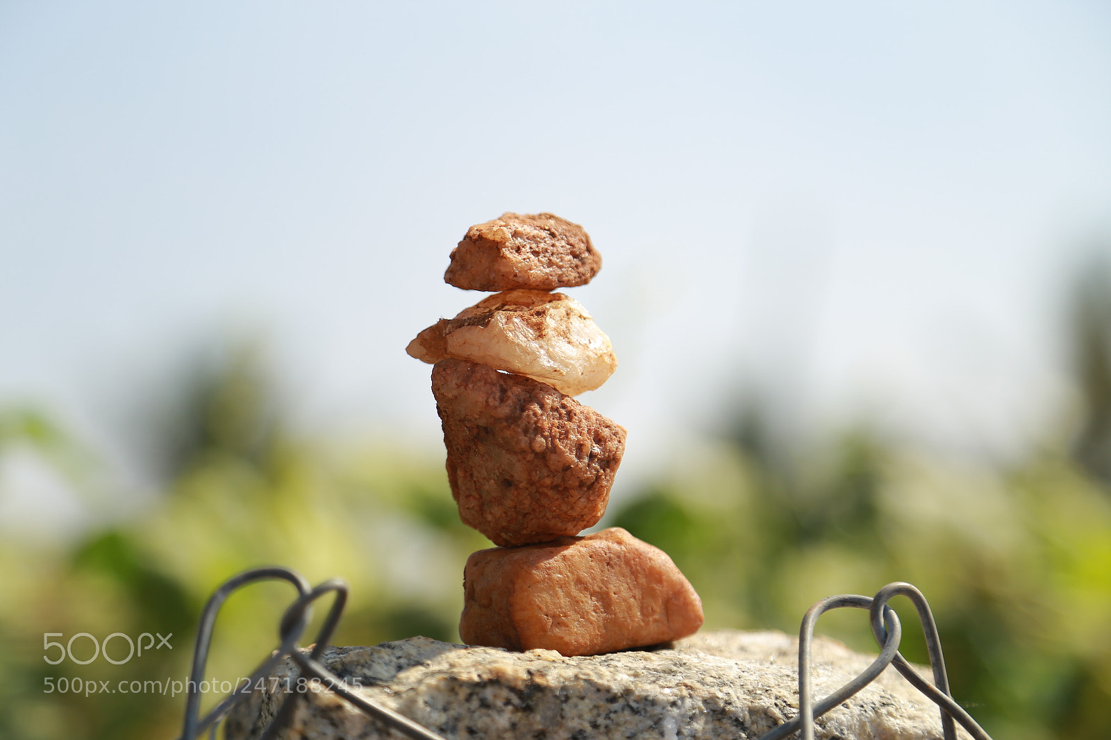 Canon EOS 6D + Canon EF 24-105mm F4L IS USM sample photo. Img photography
