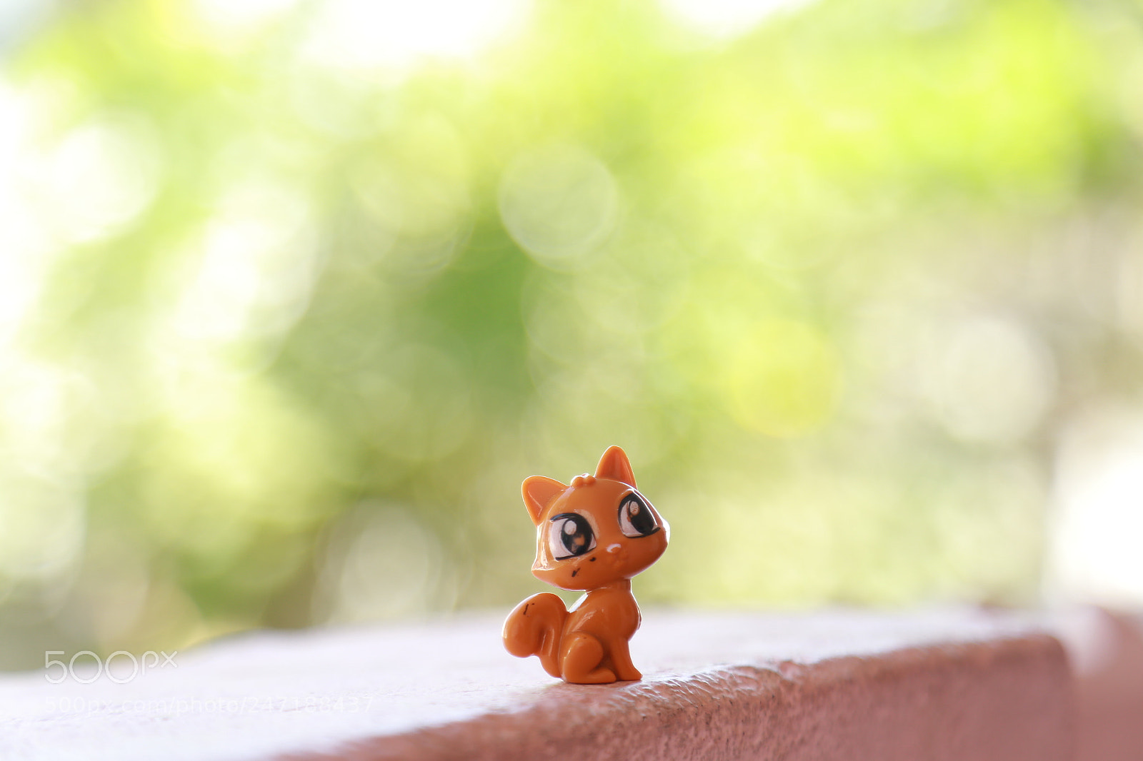 Canon EOS 6D + Canon EF 24-105mm F4L IS USM sample photo. Img photography