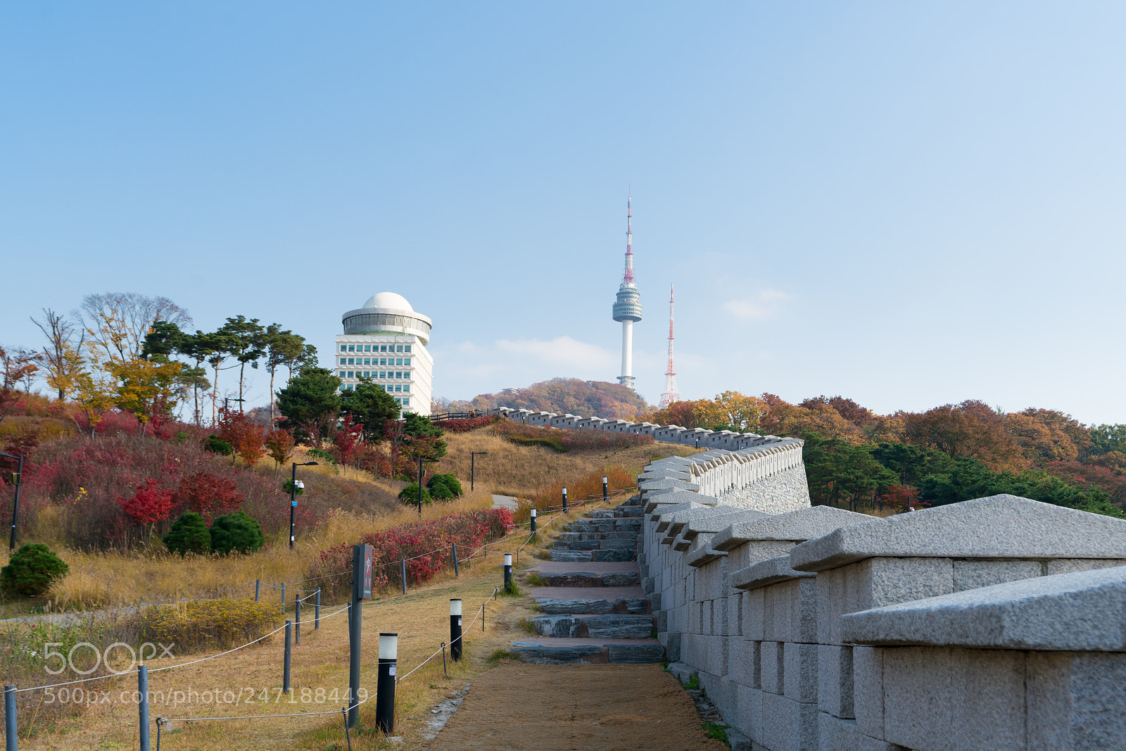 Sony a7R II sample photo. Seoul tower with yellow photography