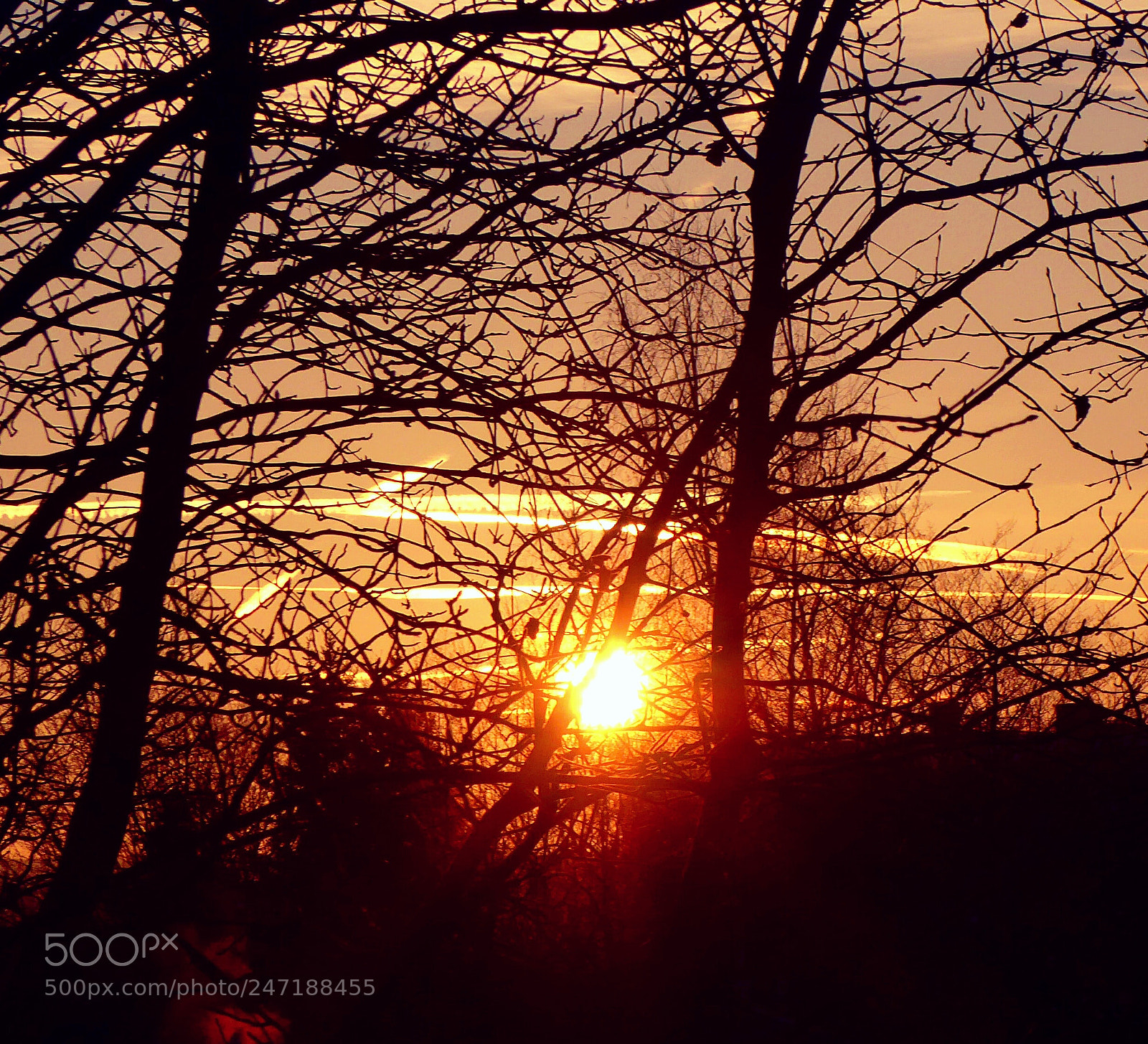 Panasonic DMC-TZ71 sample photo. Good morning sunrise photography