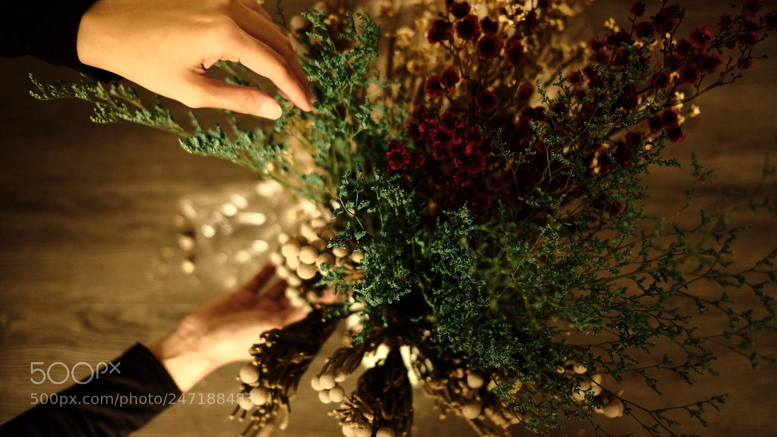 Fujifilm X-E3 sample photo. Untitled photography