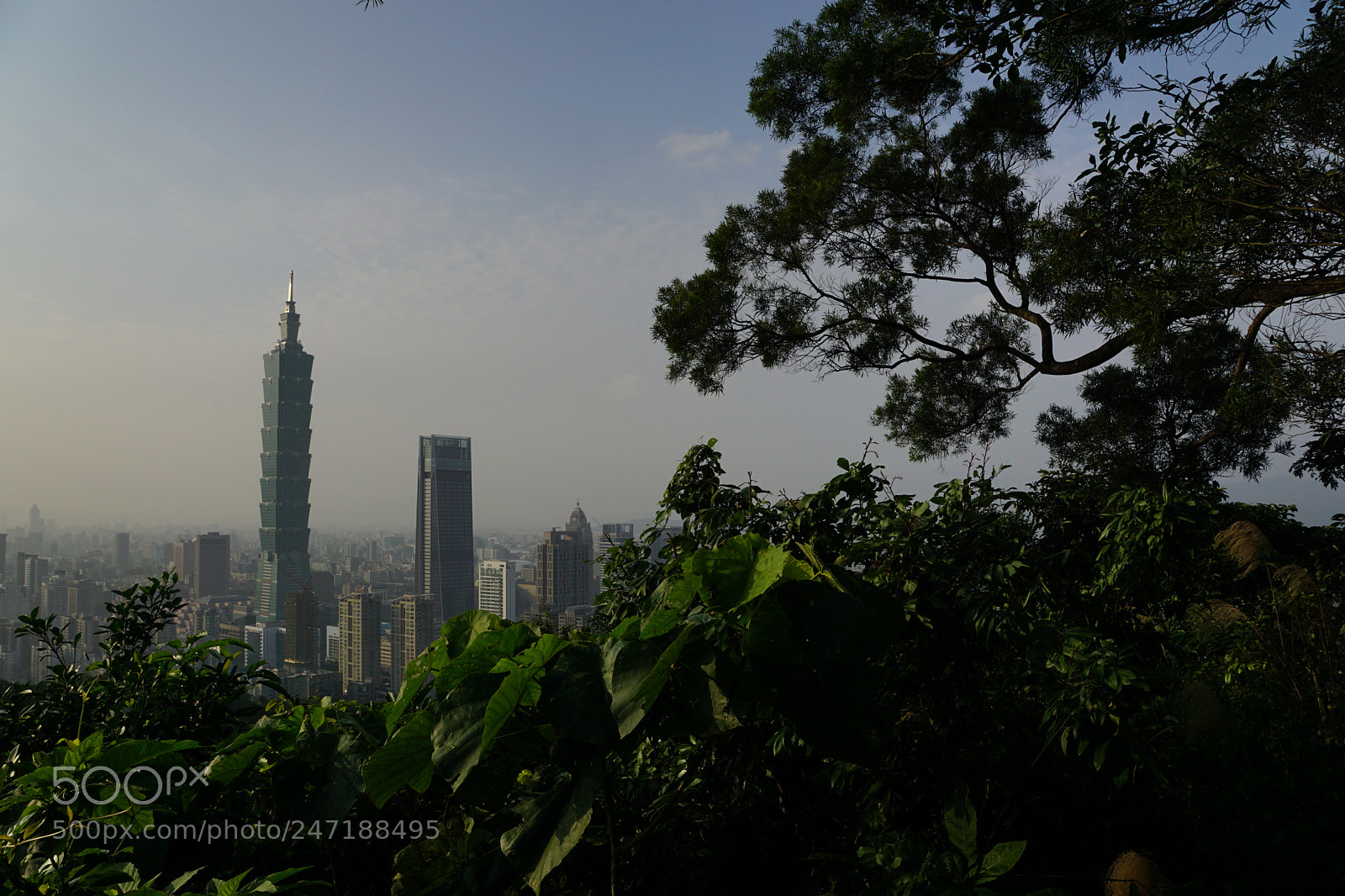 Sony DT 16-50mm F2.8 SSM sample photo. City nature fusion photography